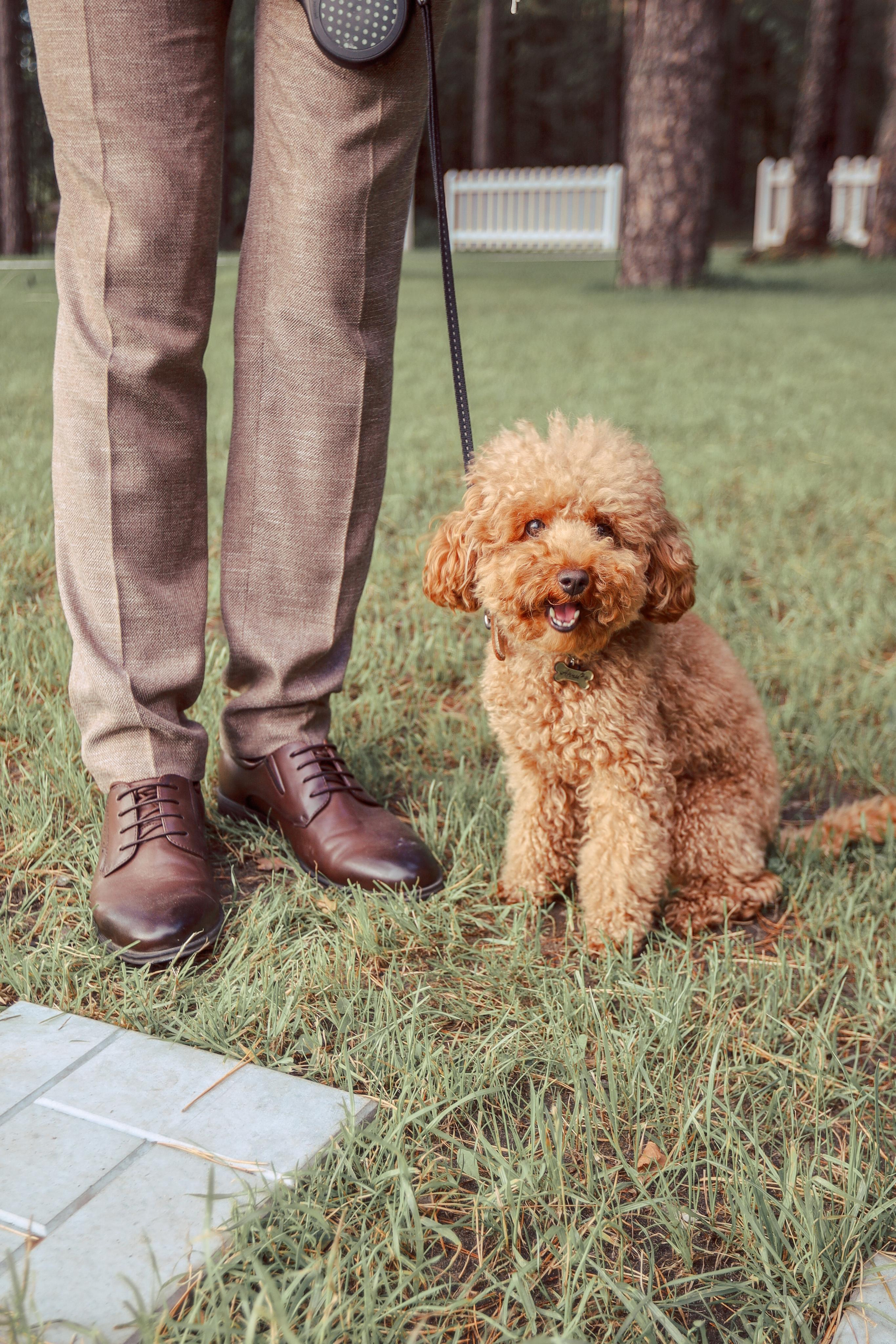 Иван и Арина. Фотограф Алёна Кладова