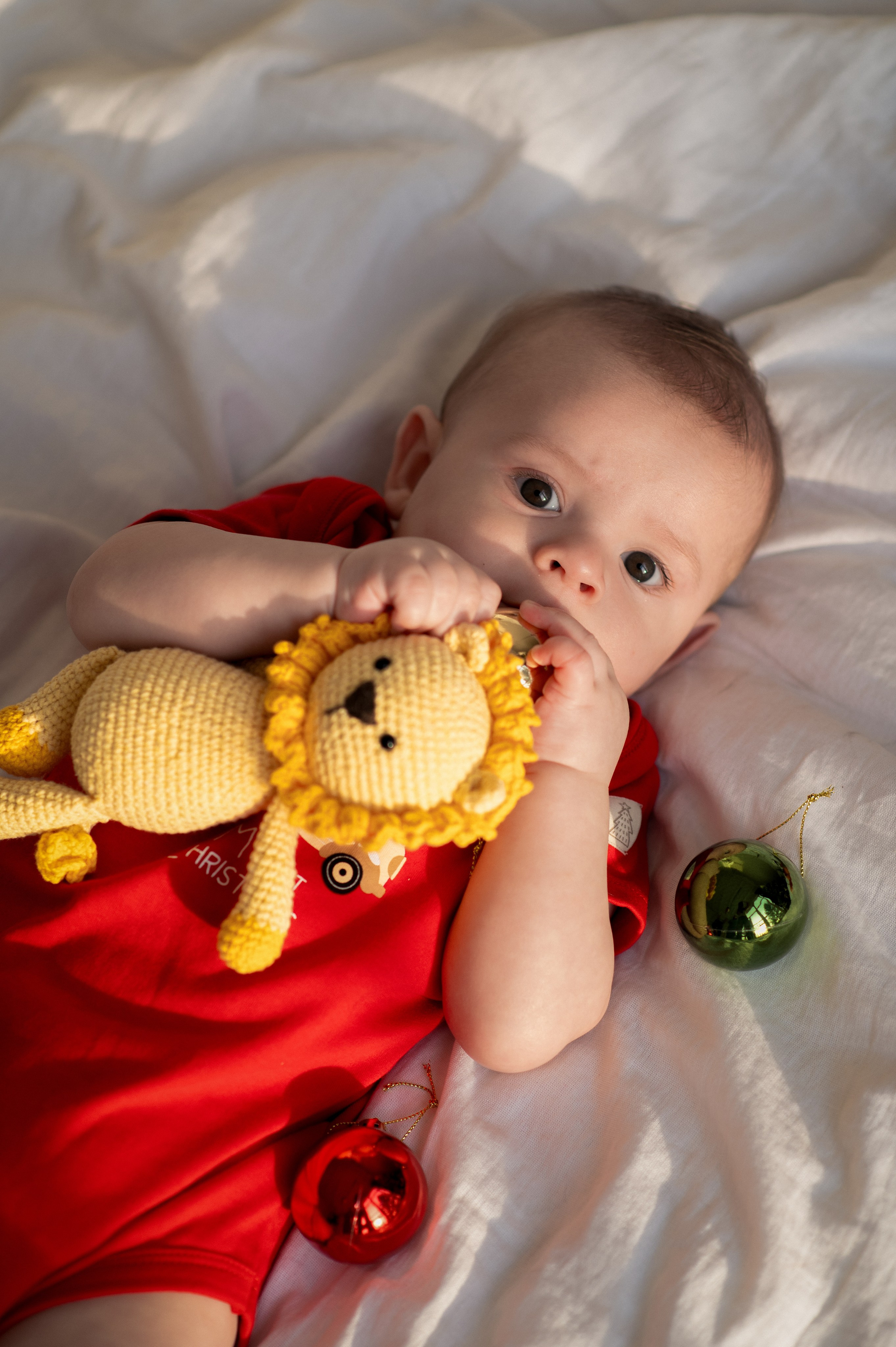 Семейная. Фотограф Барнаул Софья Бояринова