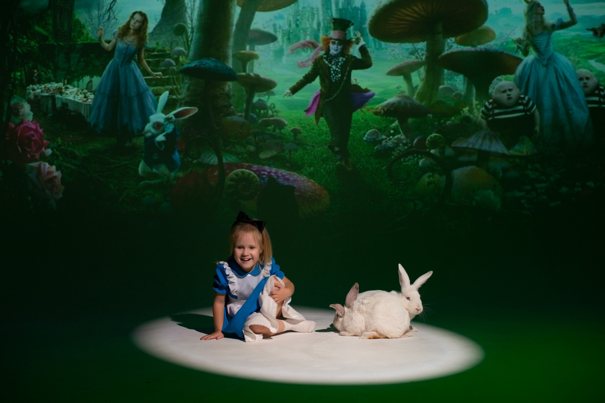 Алиса (студийная съемка). Творческий фотограф Вологда