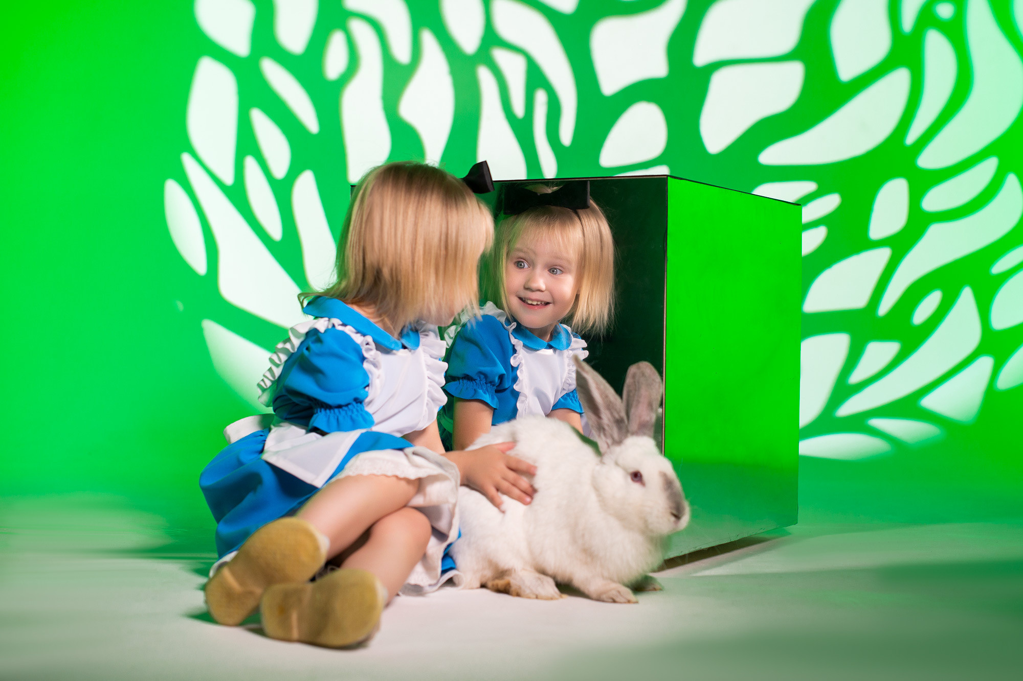 Алиса (студийная съемка). Творческий фотограф Вологда