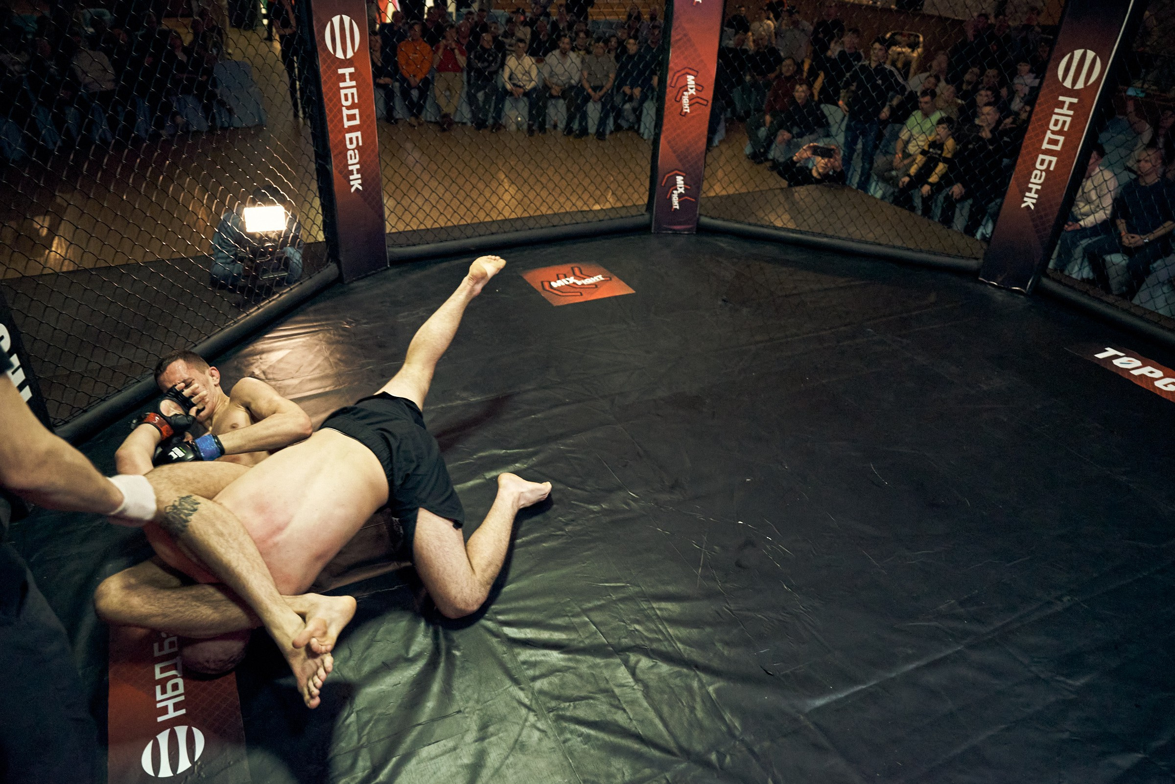 Бои. Маляревич Дмитрий свадебный фотограф