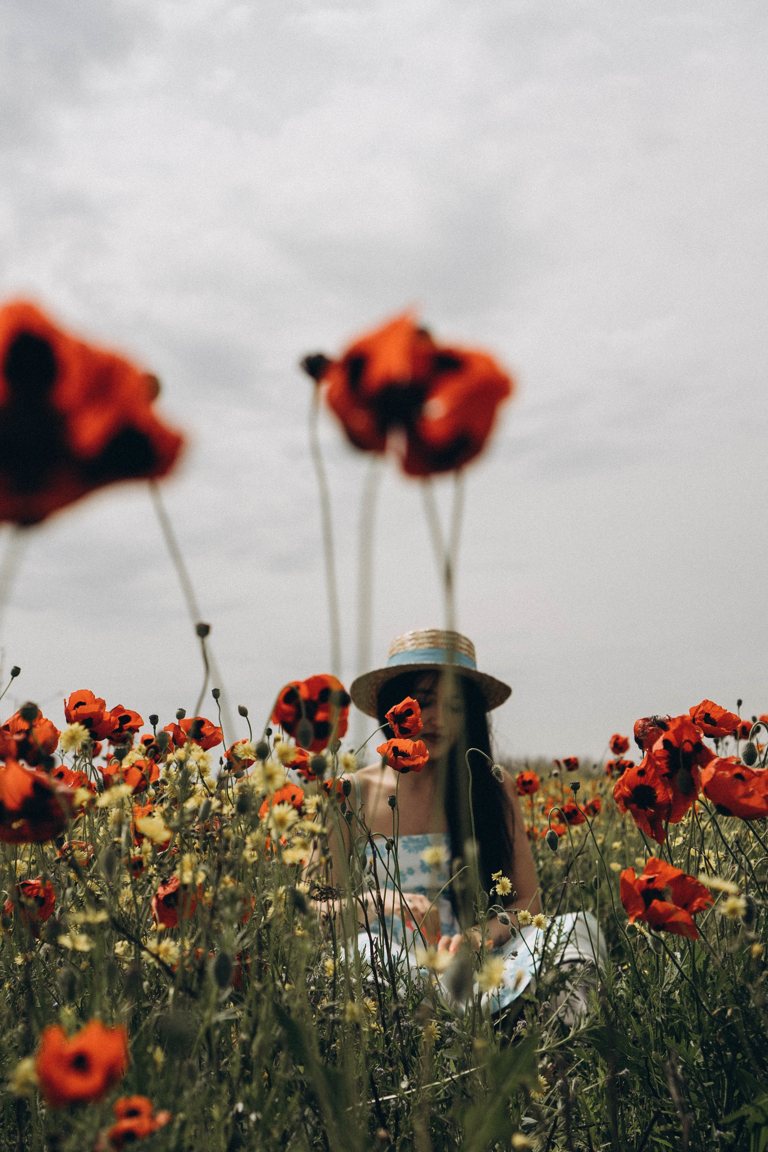 Цветочная поляна. Профессиональный фотограф, Санкт-Петербург — Виктория Богомолова