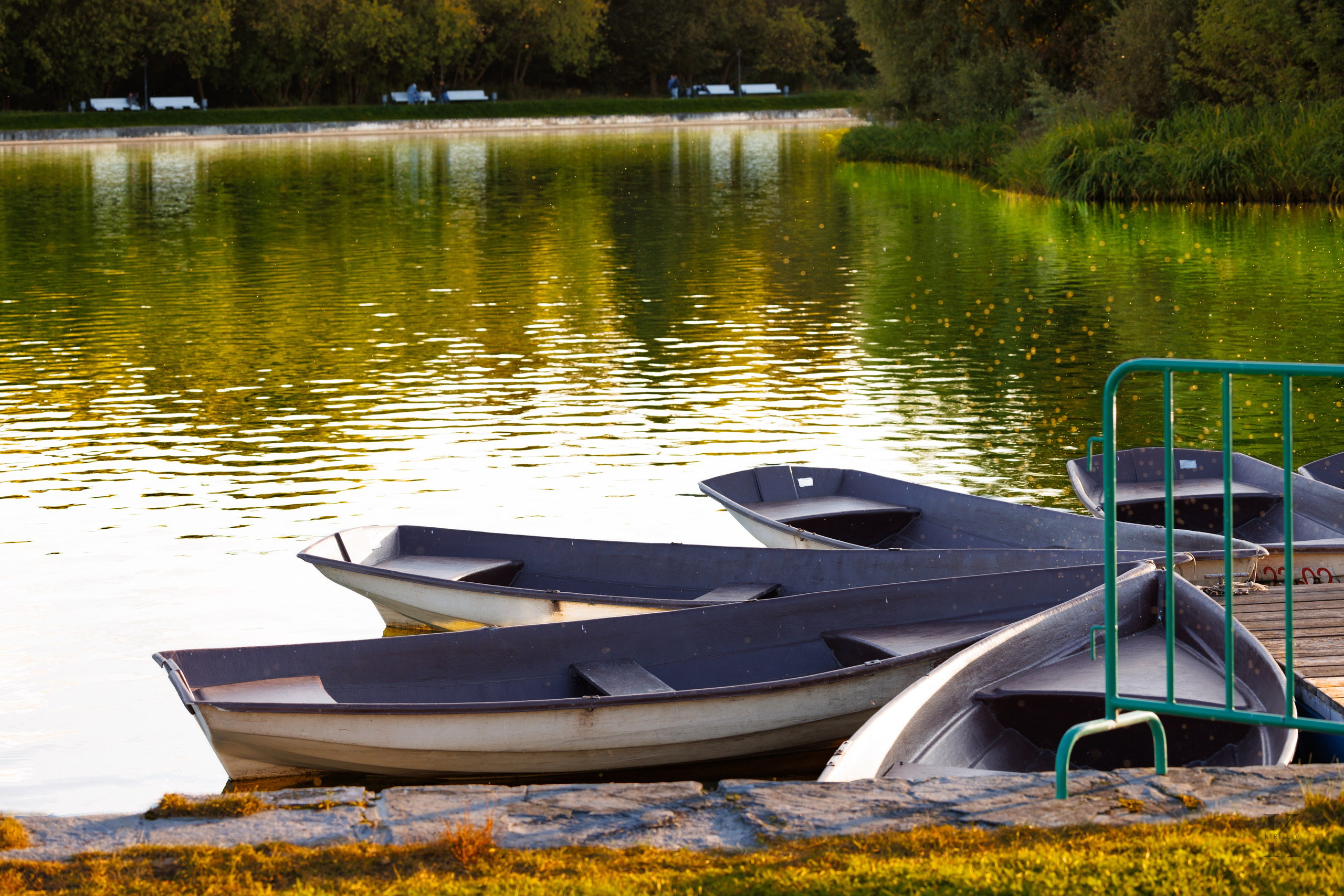 Усадьба Кусково. Осень 2025. Фотографирую жизнь! Московский фотограф волонтер