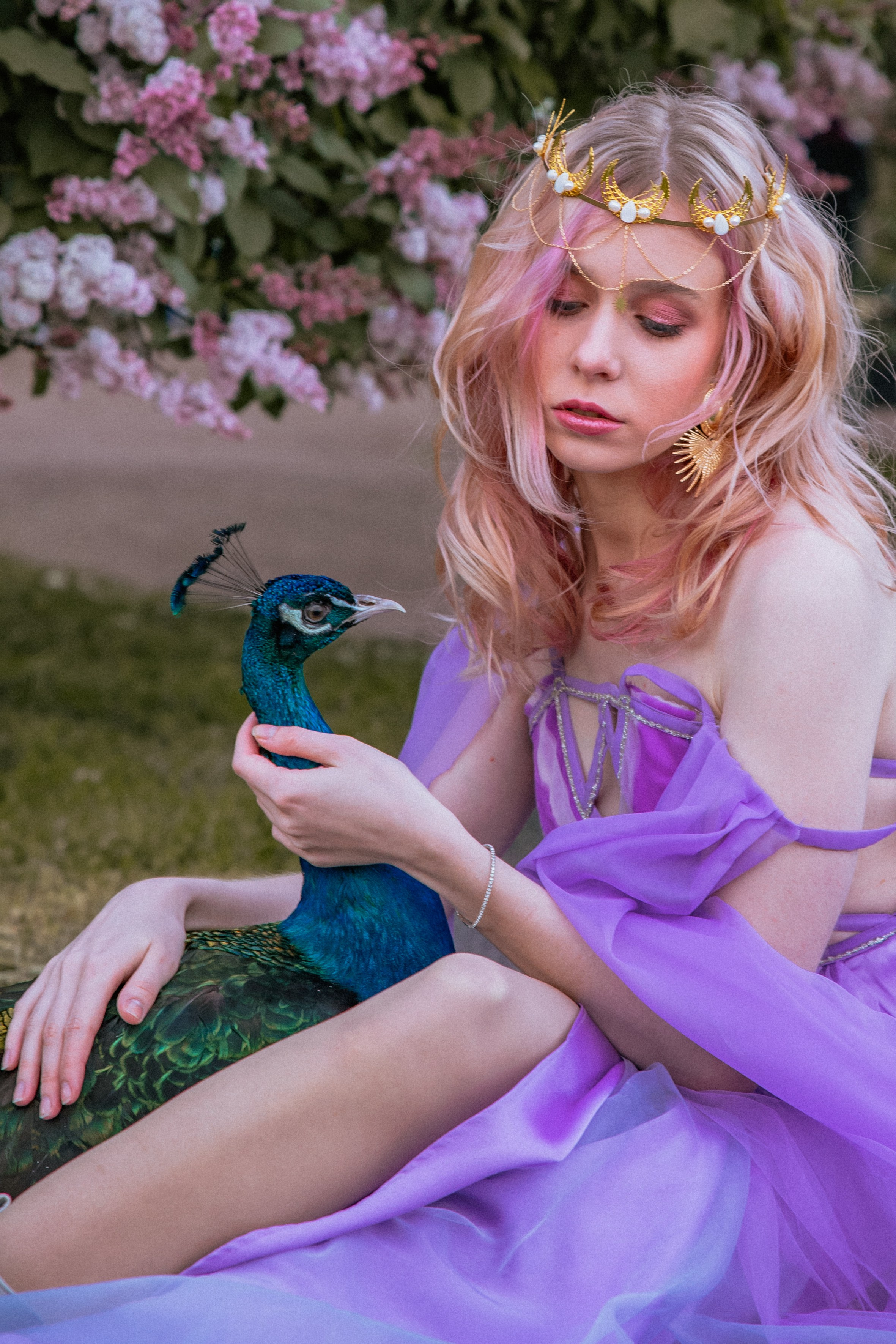 Павлин. Elena Sova — семейный и женский фотограф в Санкт-Петербурге