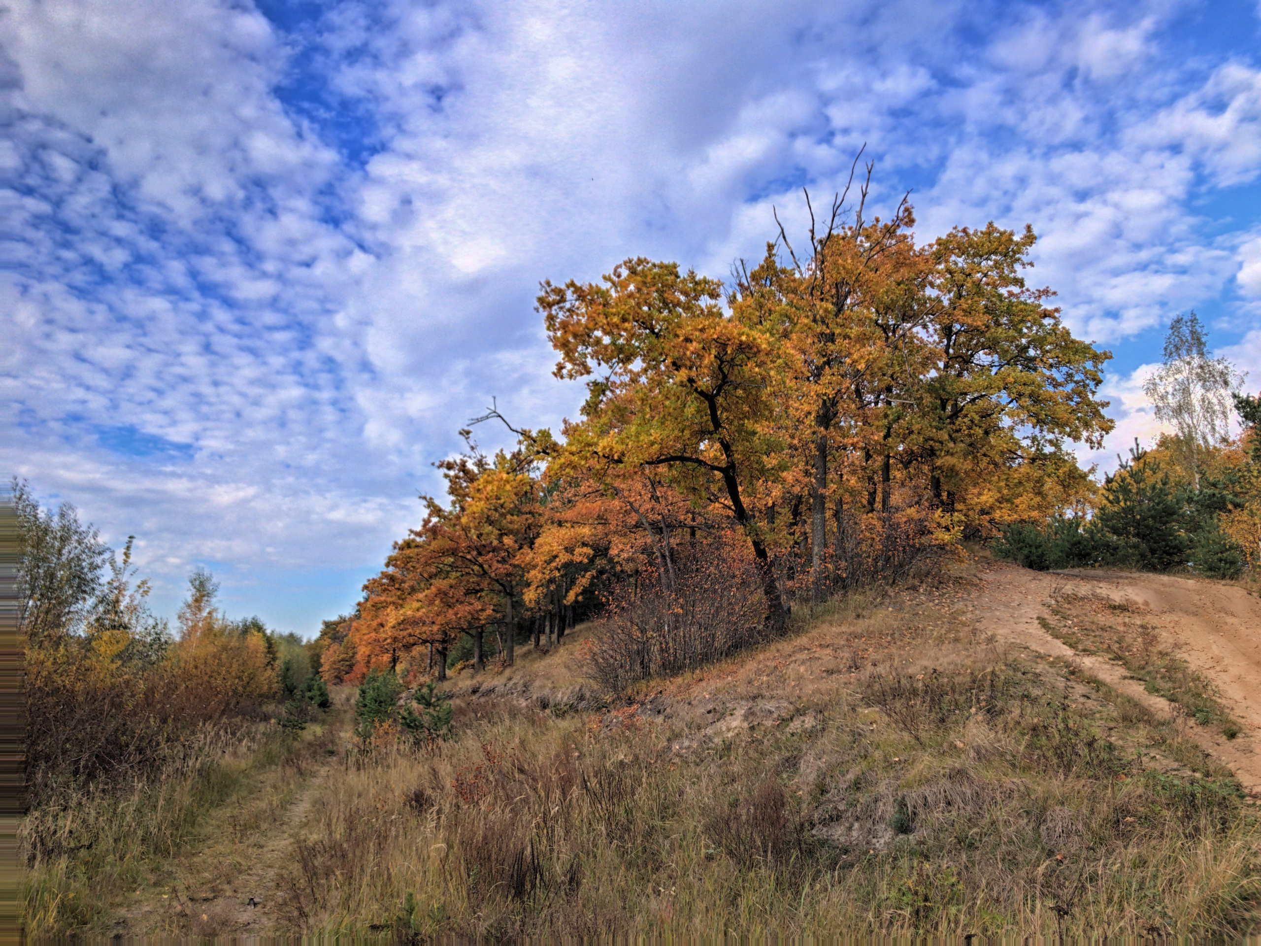 ПРИРОДА. Слепки времени. Фотографии природы и событий. Москва. Сергей Аллагулов