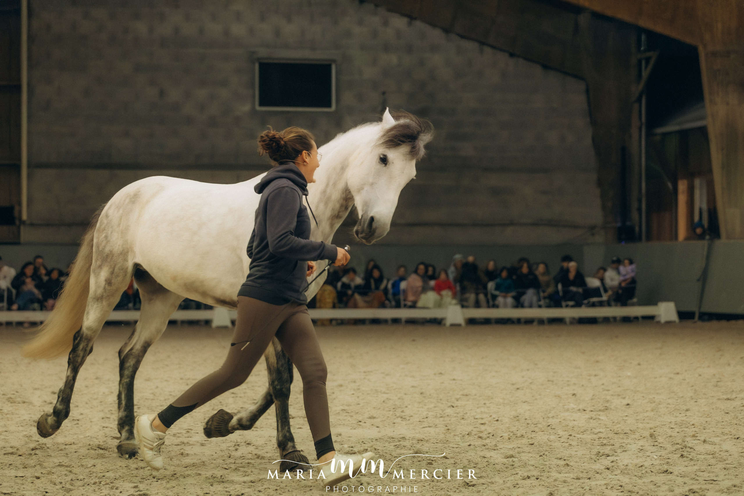 Evènements. Photographe des familles et enfants à Nantes et alentours