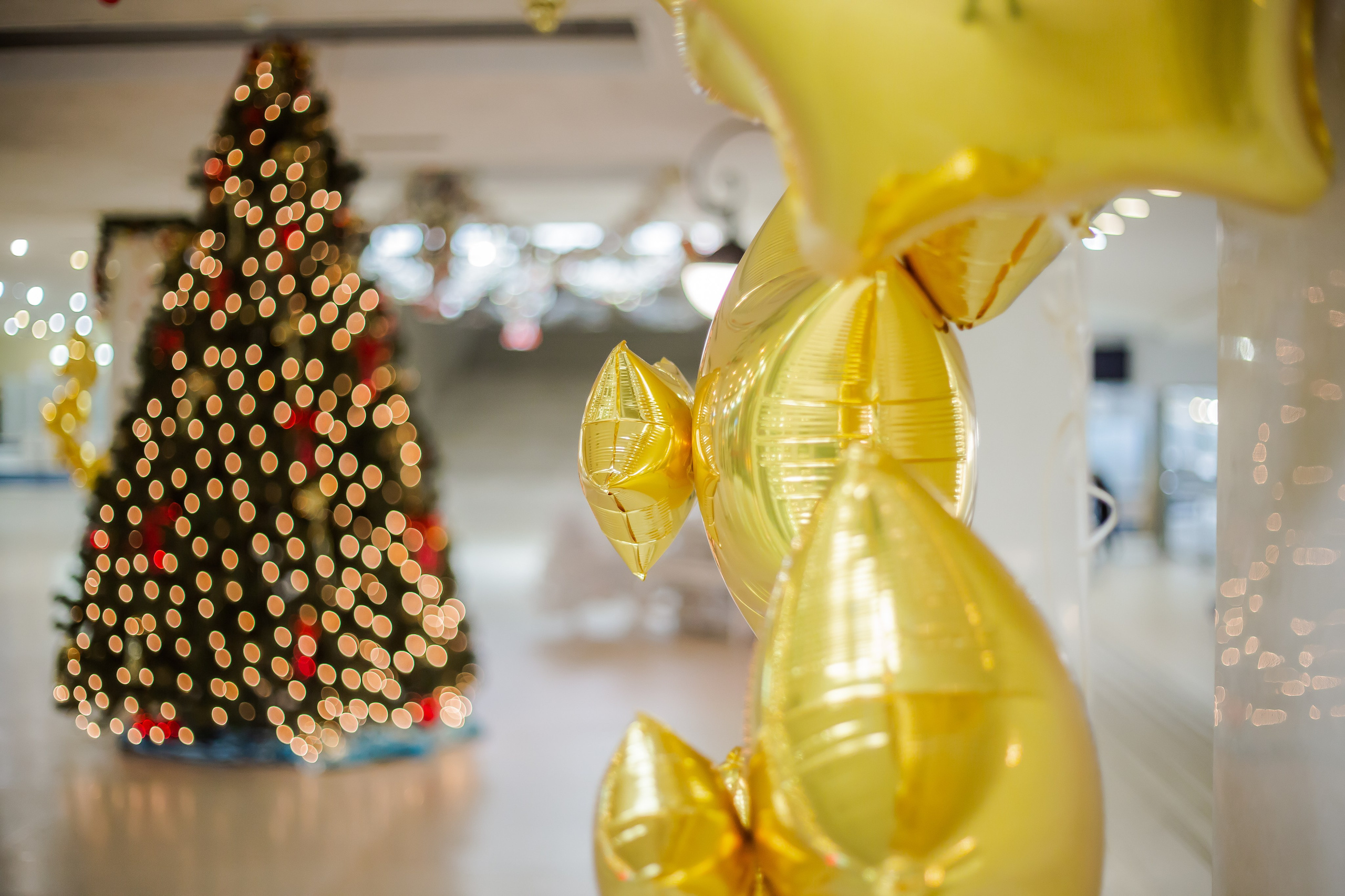 Репортаж — зимняя мелодия. Свадебный и семейный фотограф в Санкт-Петербурге Макеева Наталья