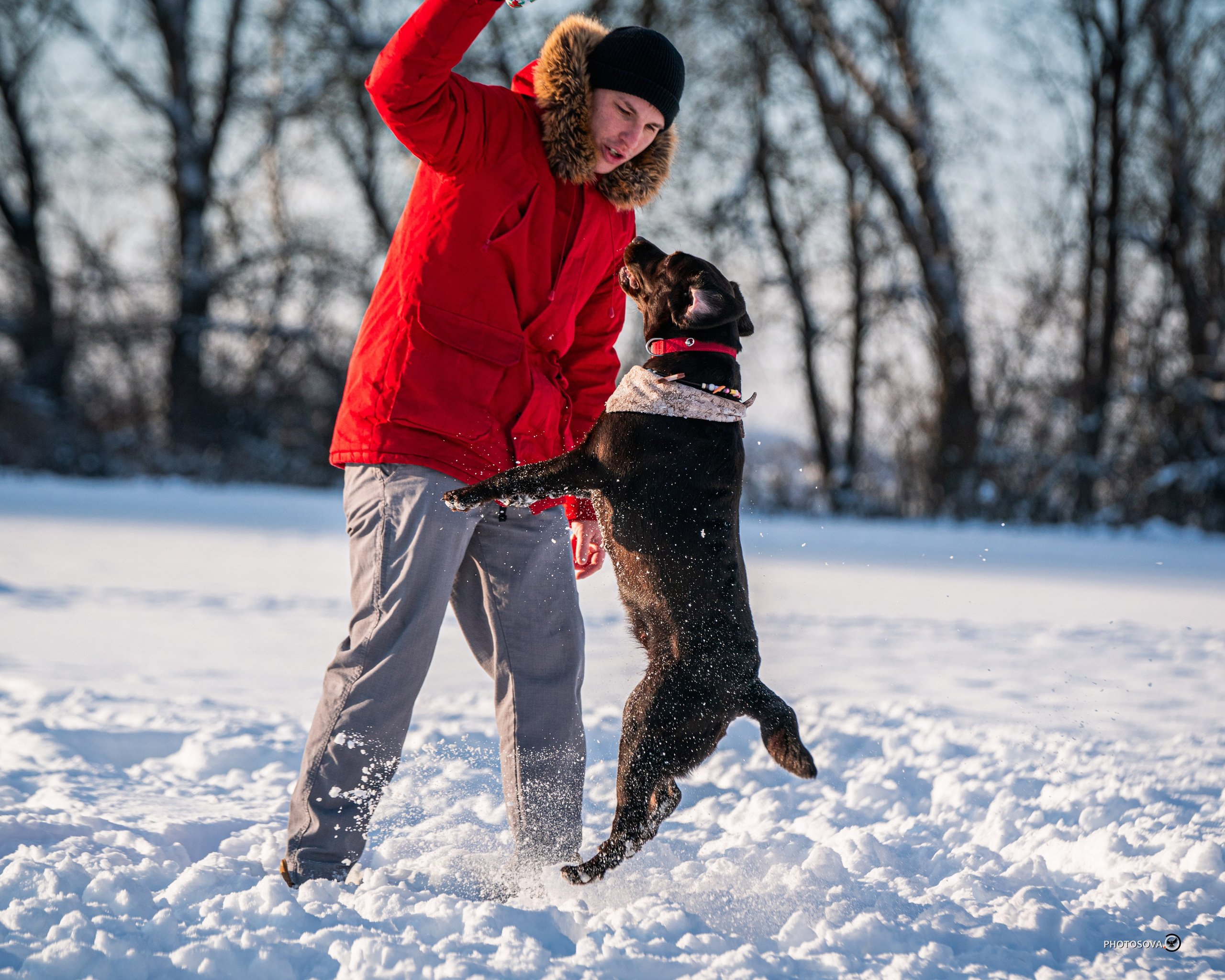ФОТОПАМЯТЬ ВАШИХ ЭМОЦИЙ. Фотограф-анималист, семейный фотограф в Москве и Подмосковье. Фотосъёмка кинологических дисциплин
