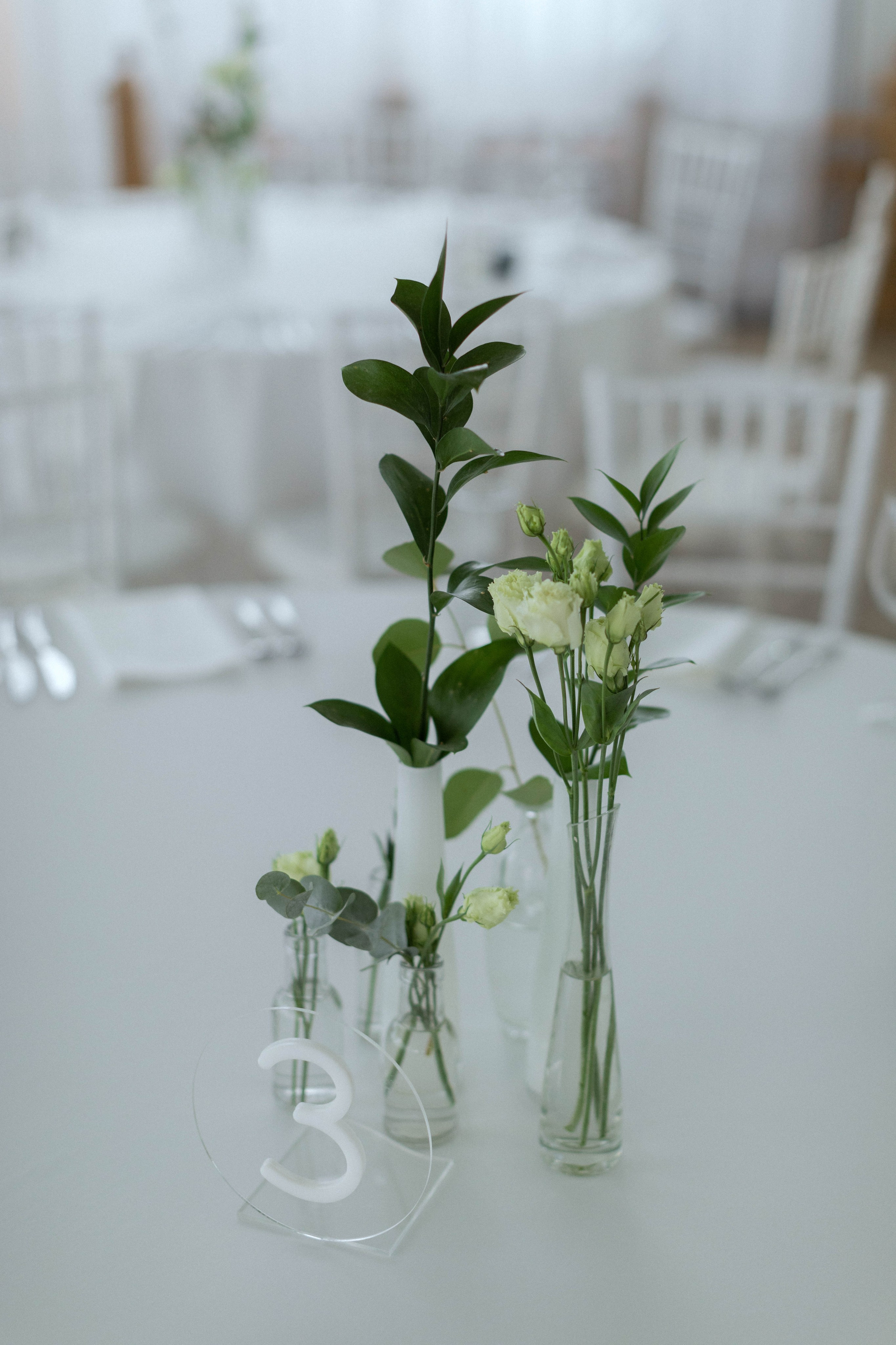 Серёжа | Даша (г. Киров)