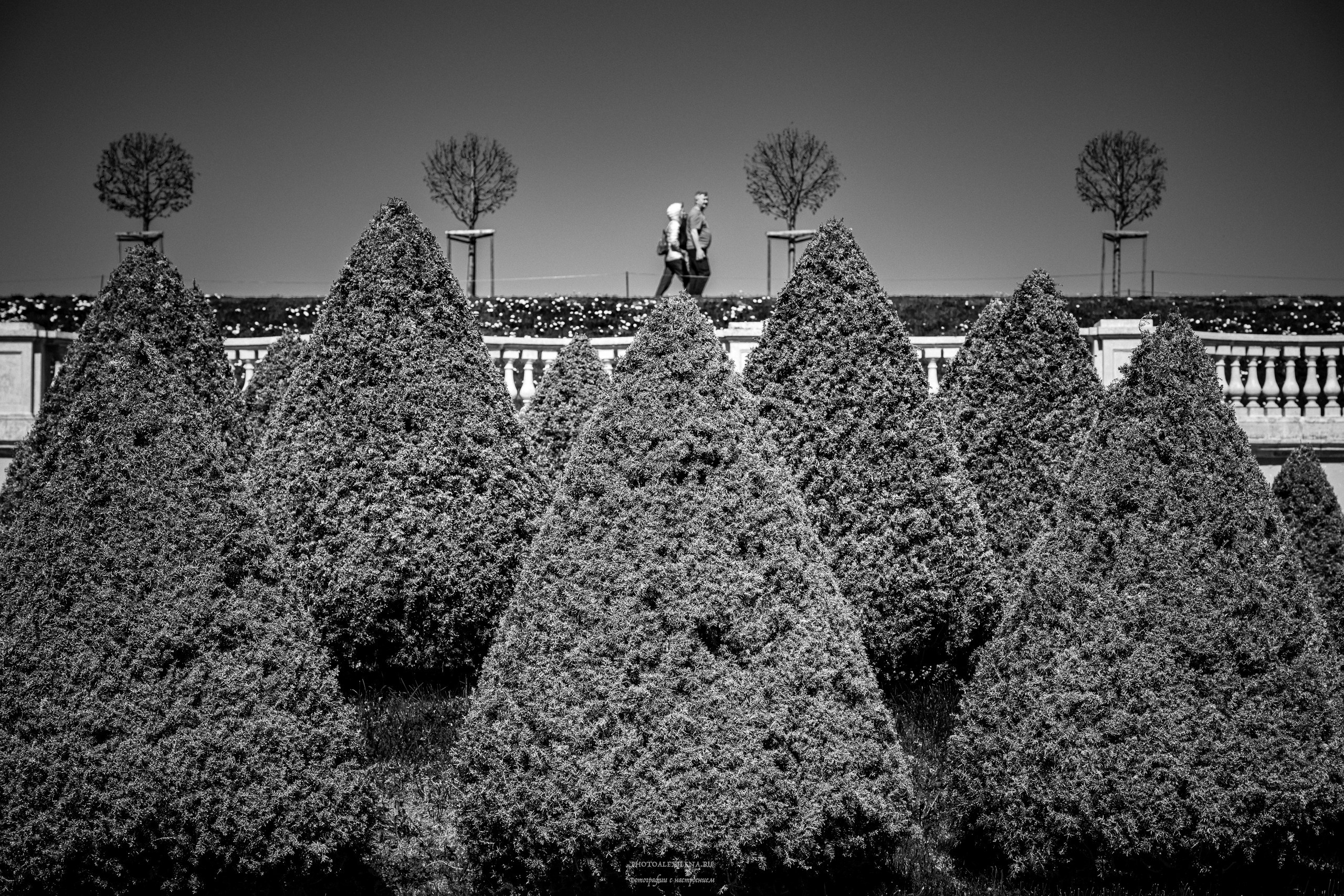 10-Й ВИДЕО-ОБЗОР стрит-фотографий от Дмитрия Смирнова. Авторские стильные фотокартины