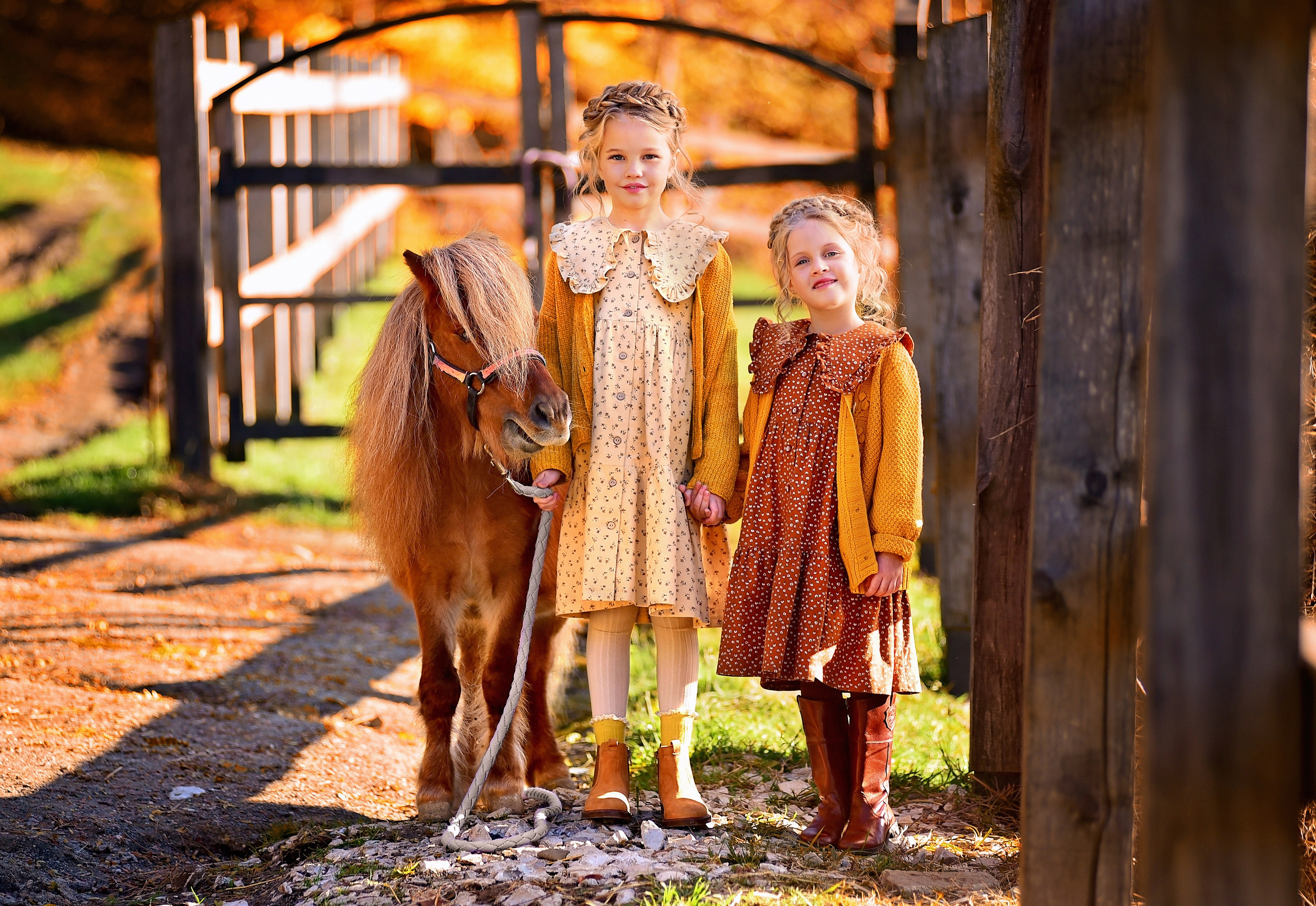Фото проект «Конюшня». Главная