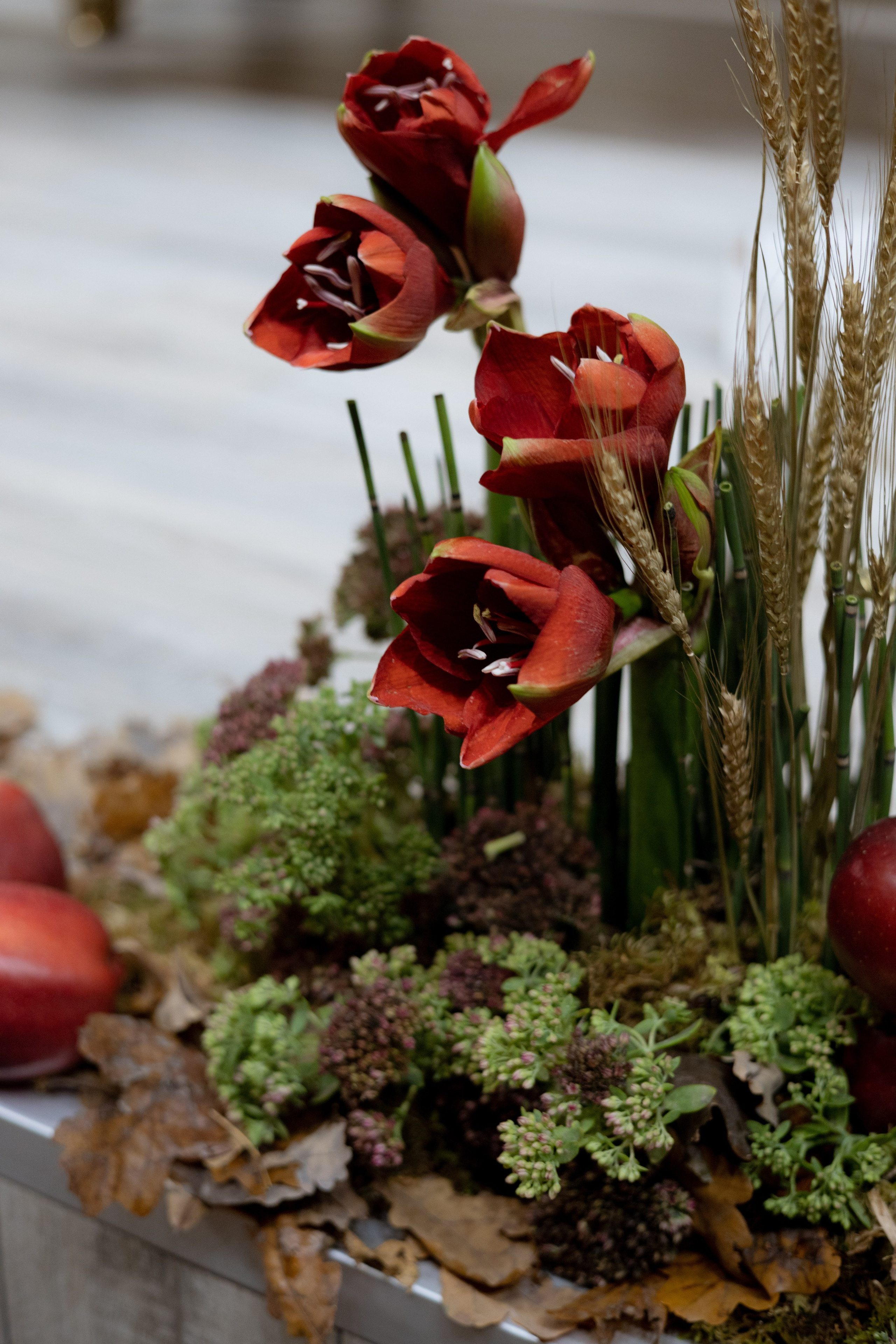 Оформление IX Международного конкурса пианистов имени Д. Д. Шостаковича. Оформление свадеб, декор свадеб Вера Маркова, Москва