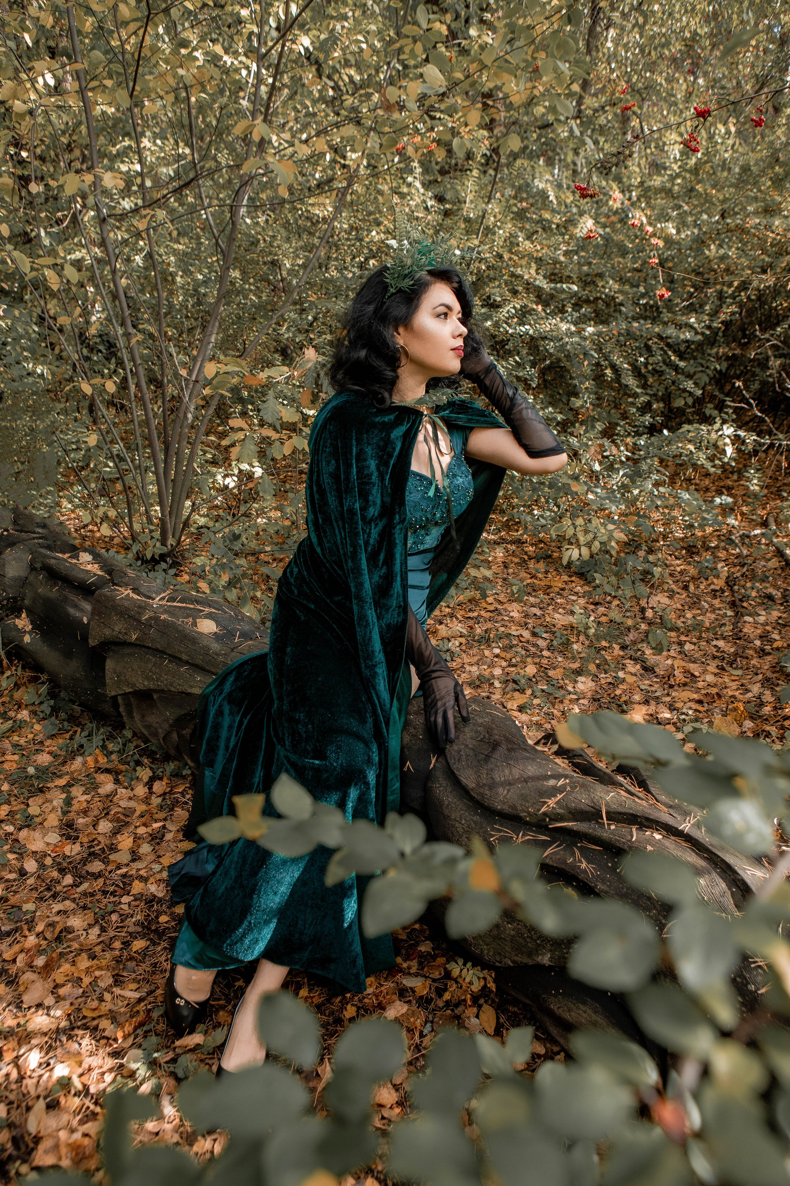 Волшебный лес. Фотограф Екатерина Голицына