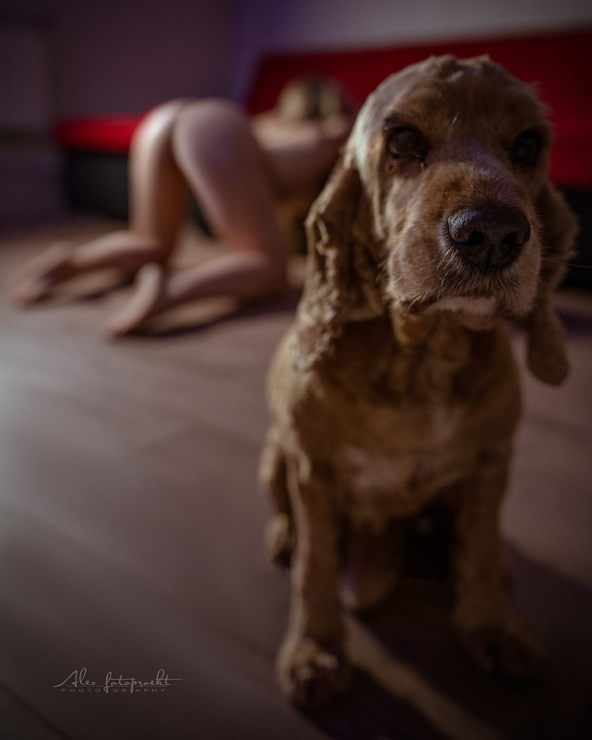 Nude photo. Fitness, PoleDance и Nude-art фотограф в Новосибирске Александр Коркин