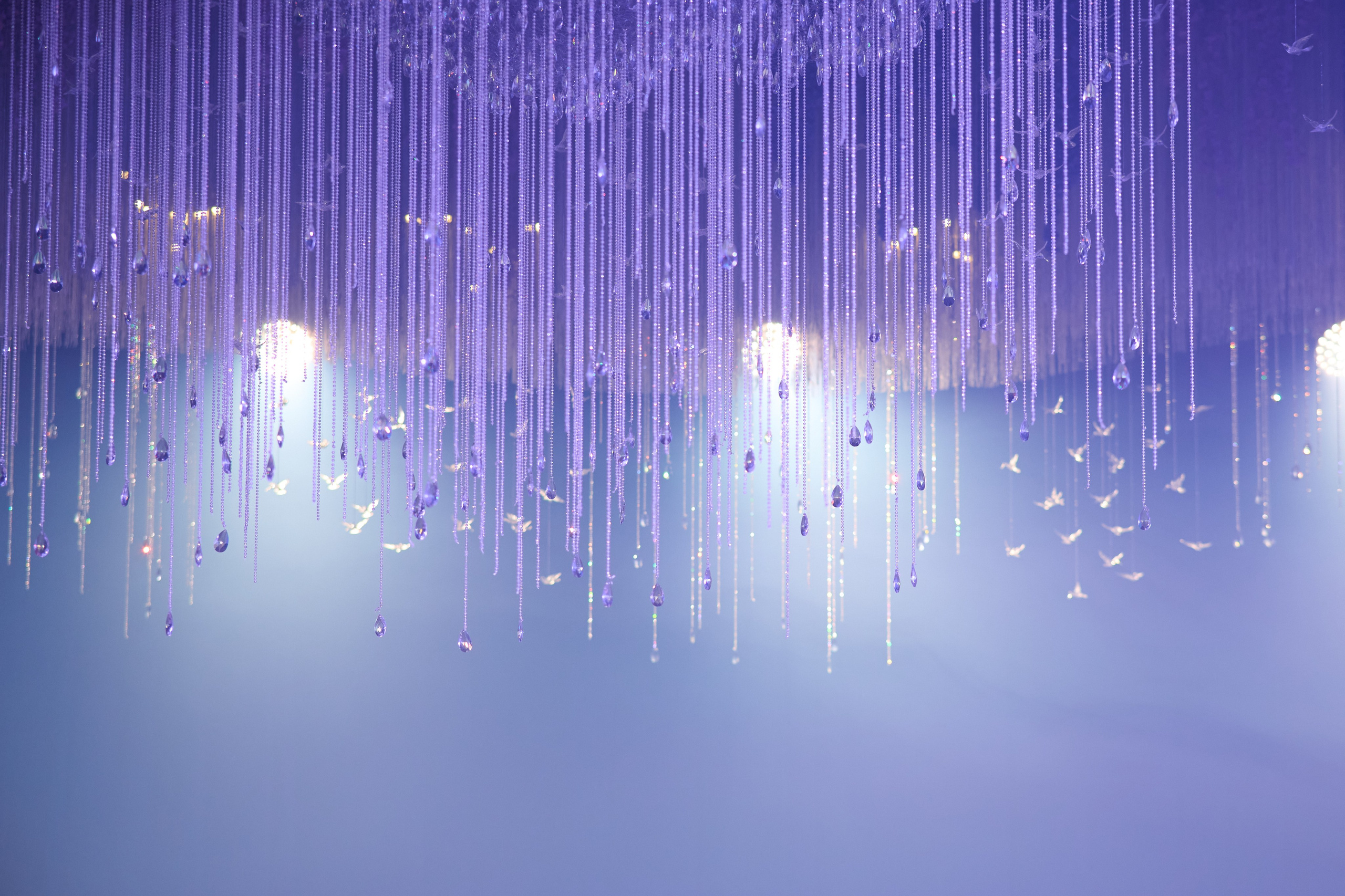 Колибри. Репортажный фотограф в Москве и Санкт-Петербурге — Профессиональная съёмка мероприятий | Данила Золкин