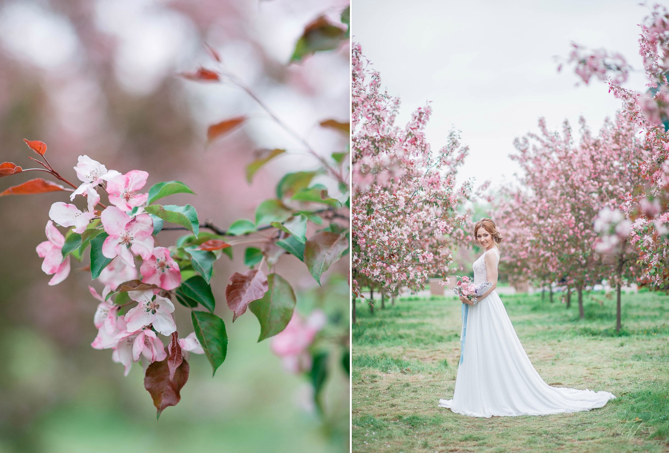 Свадьбы. Фотограф в Москве и МО / Анна Дорохина