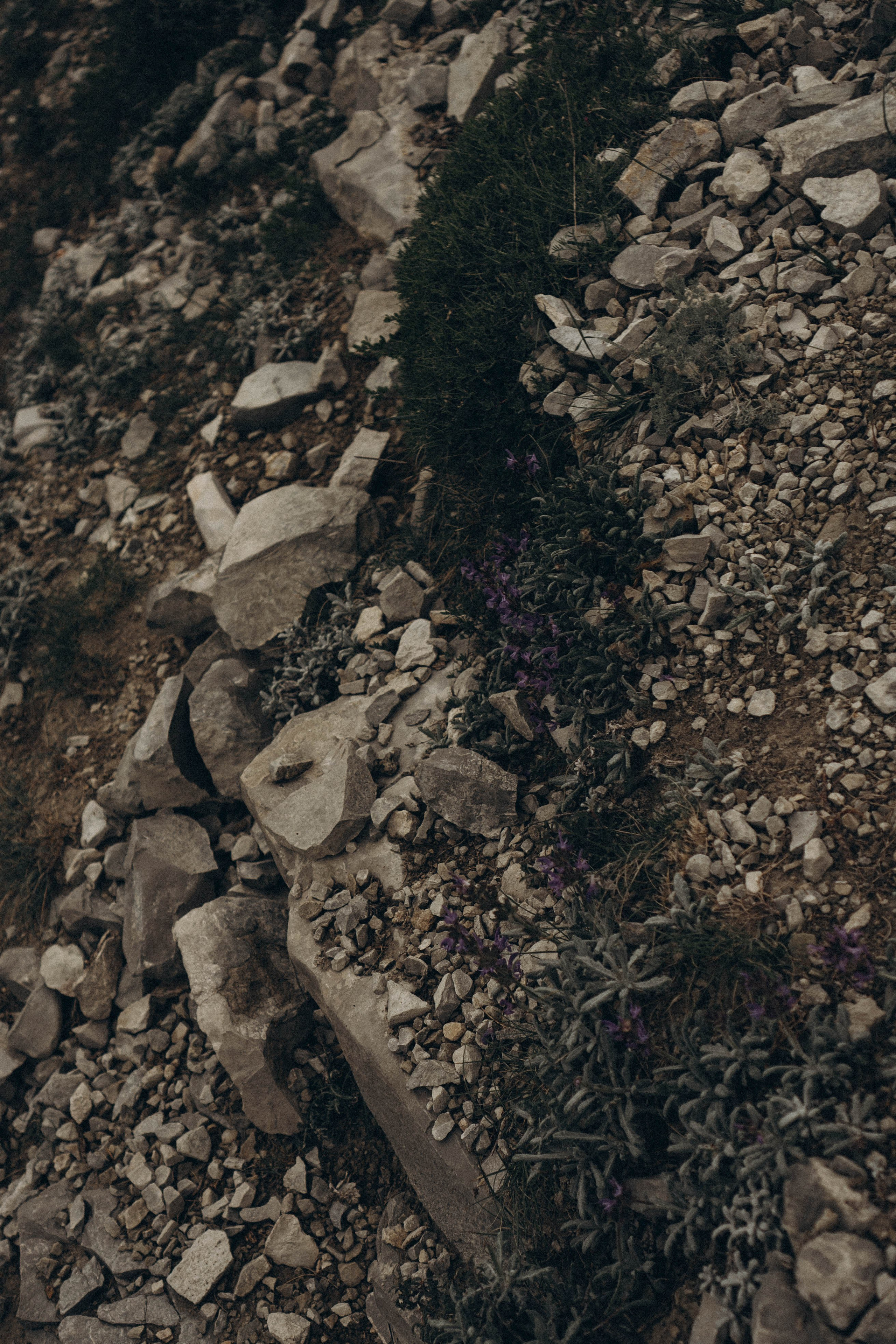 Кавказ. Профессиональный фотограф, Санкт-Петербург — Виктория Богомолова