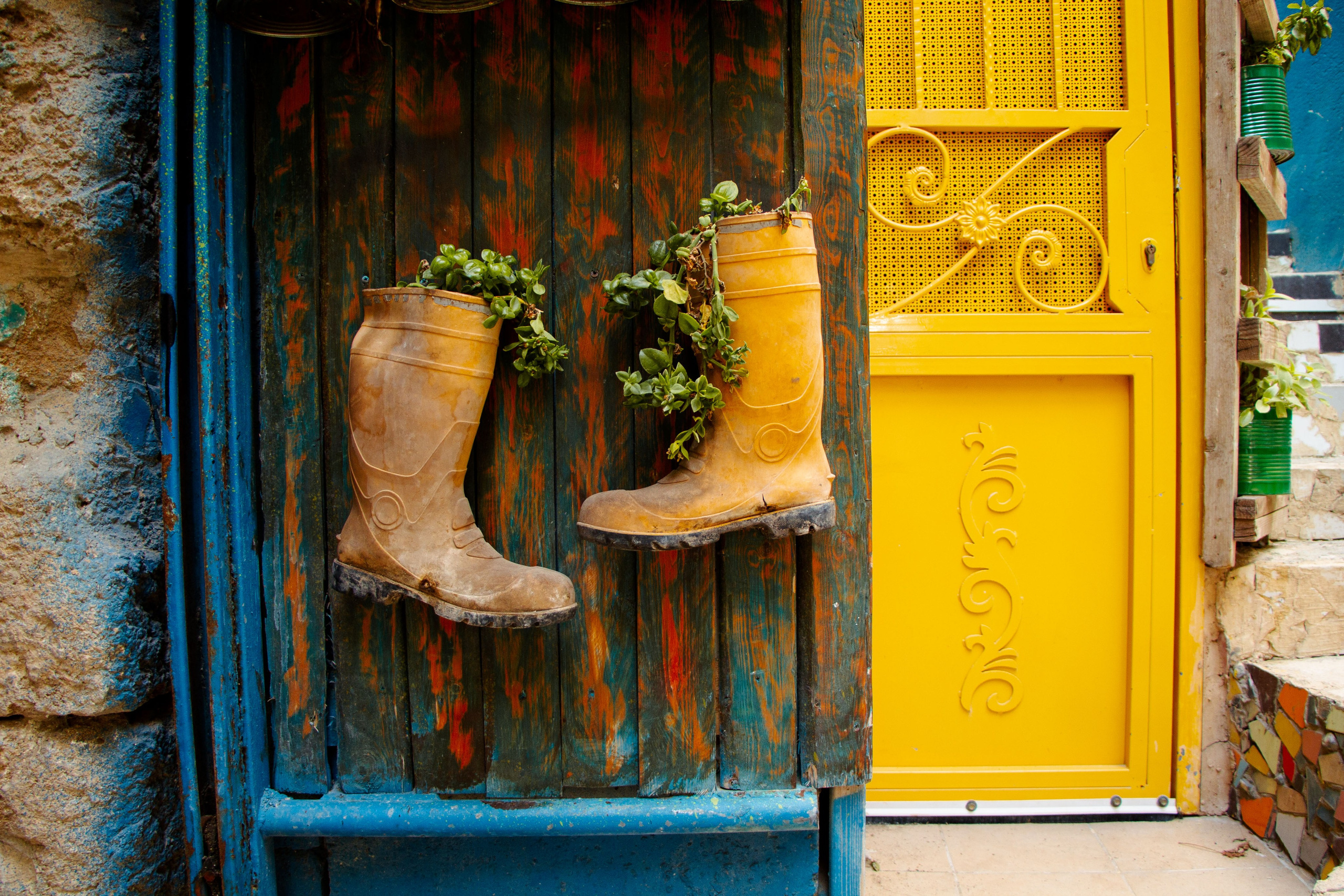 Яркий декор, два желтых сапога, сапоги для растений