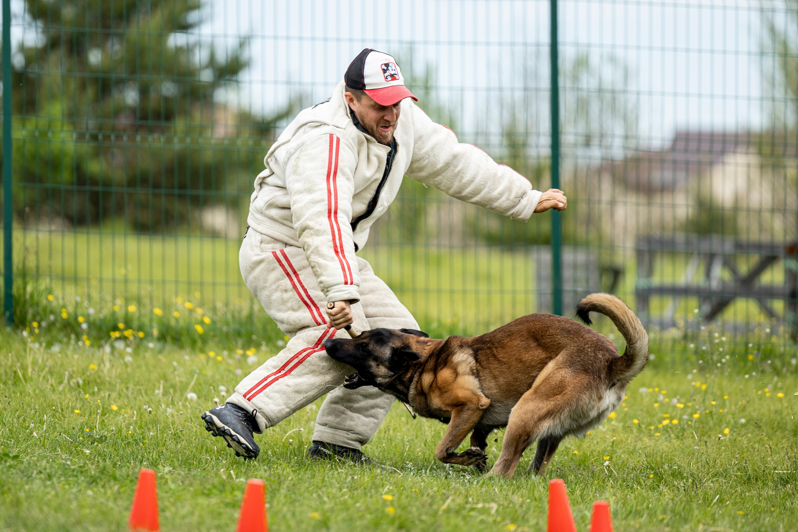 Испытания по мондьорингу в Нижнем Новгороде. Фотограф-анималист Анна Маринич