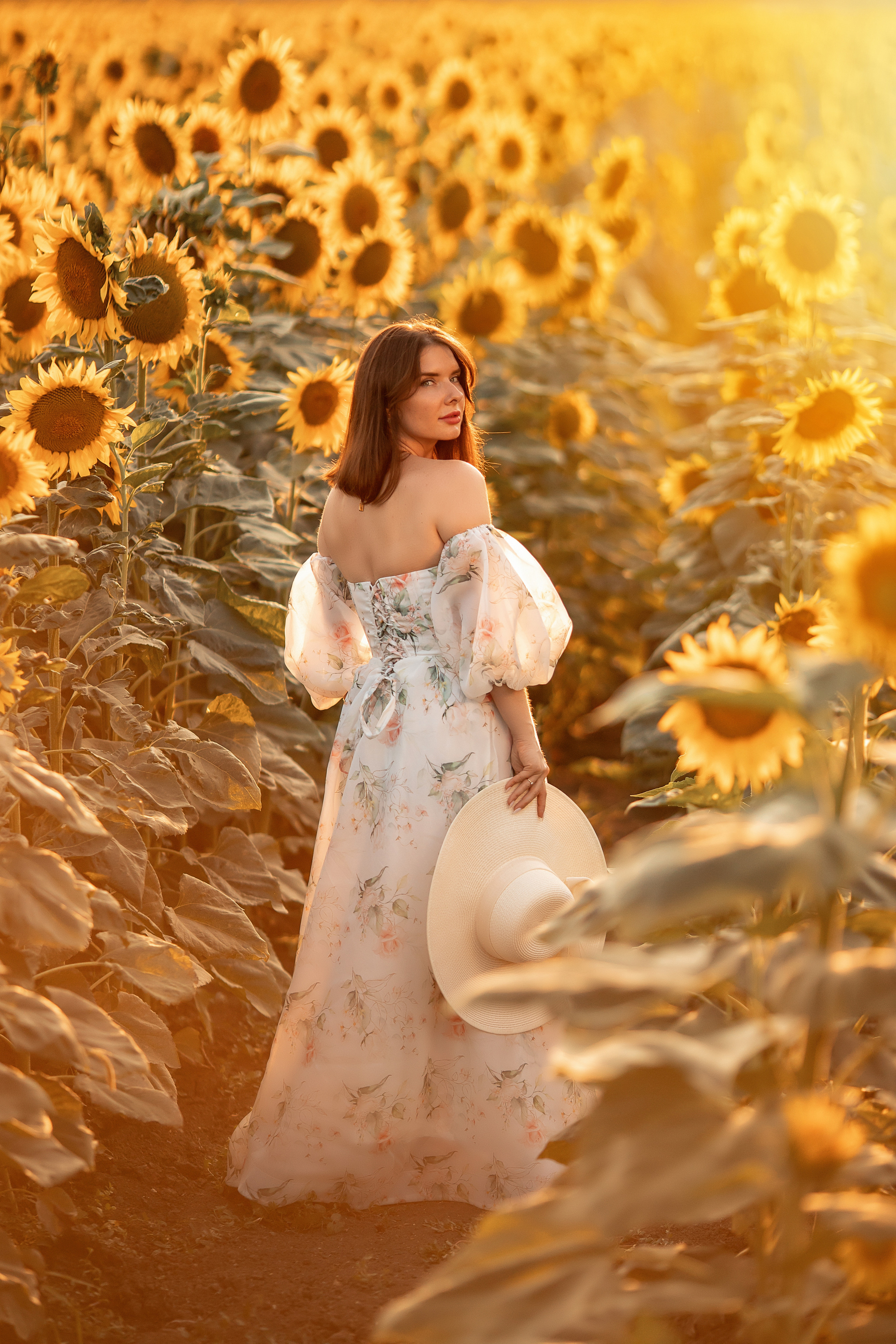 Солнечные подсолнухи. Художественный фотограф Анапа Александра Долбикова