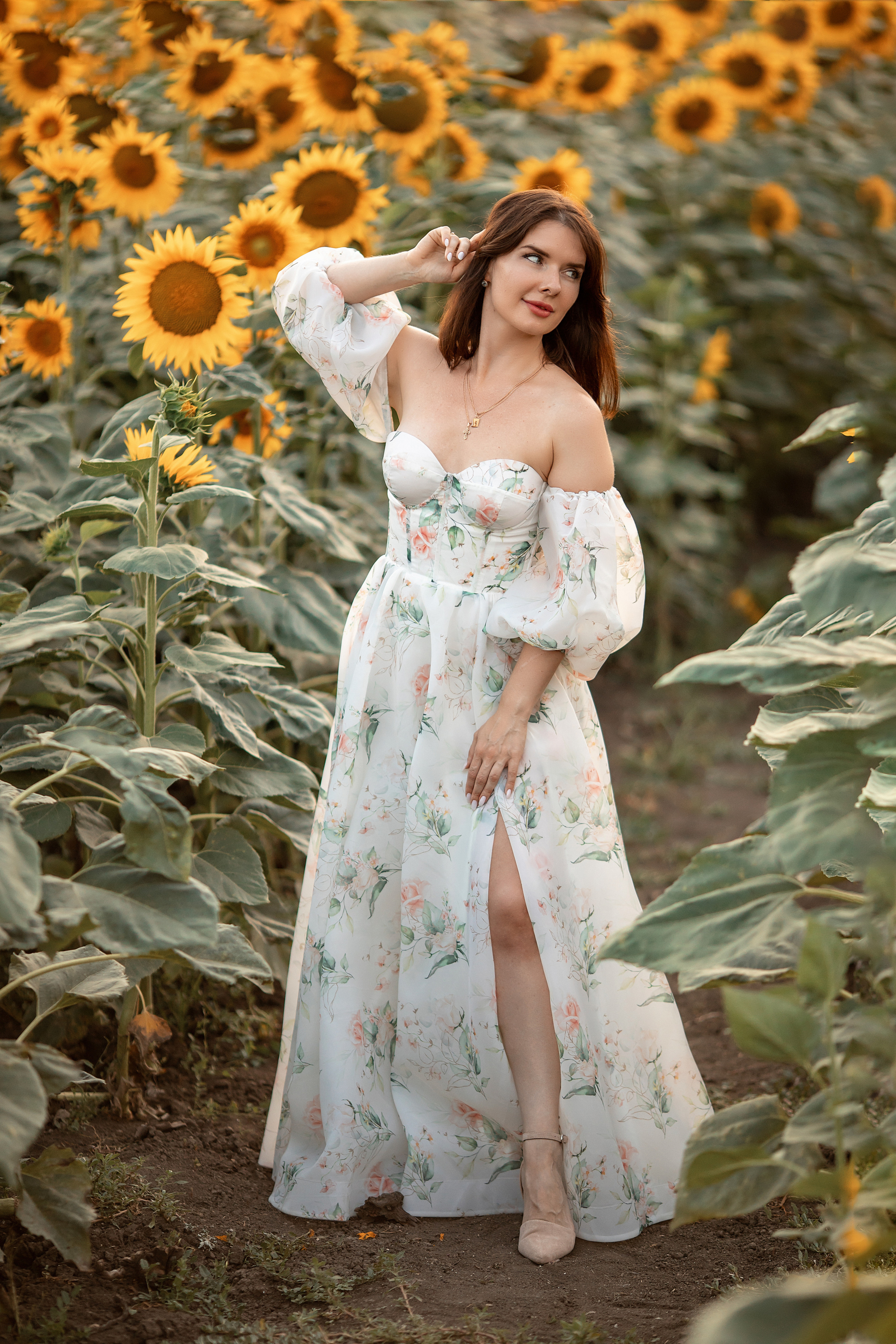 Солнечные подсолнухи. Художественный фотограф Анапа Александра Долбикова