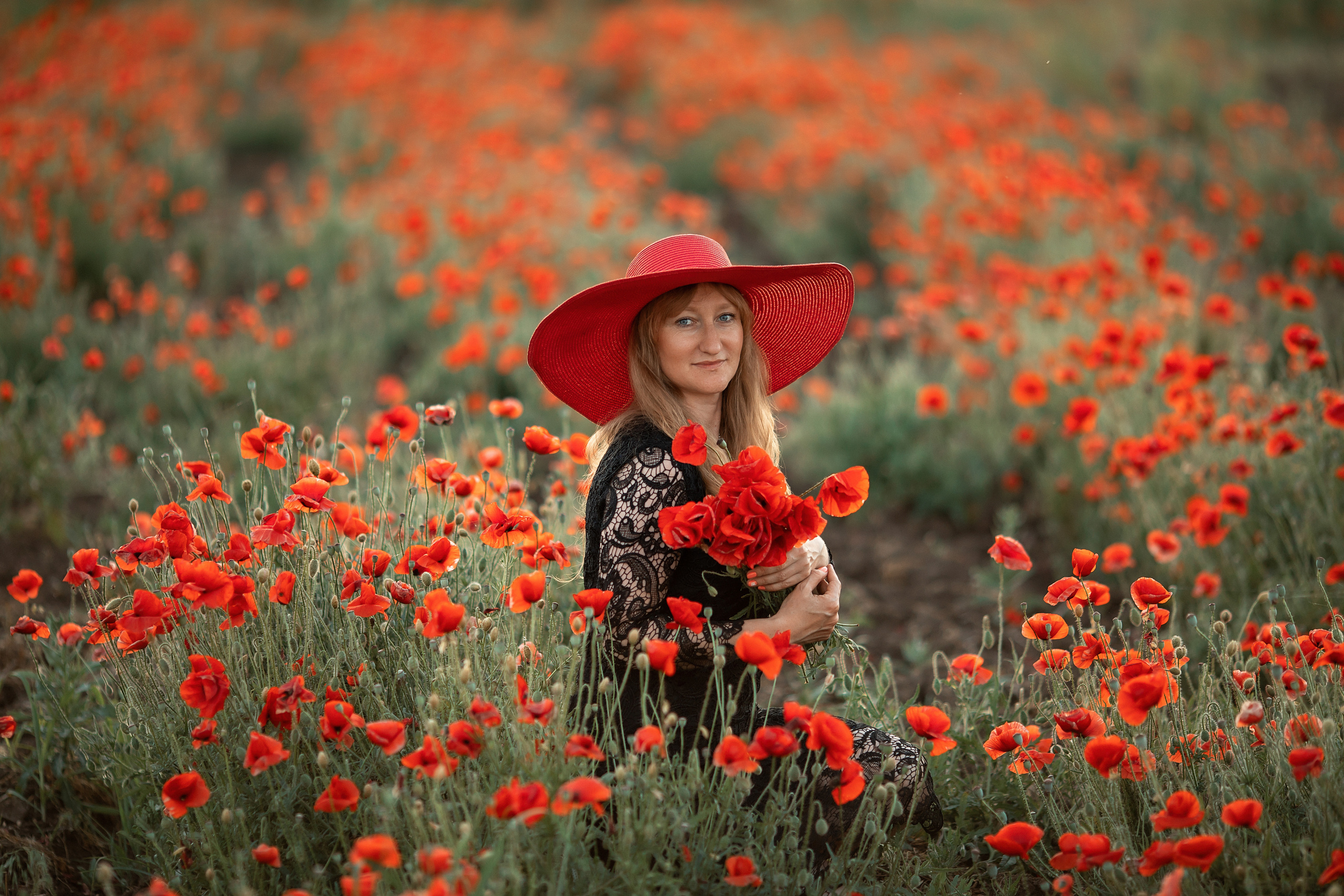 Яркие маки. Художественный фотограф Анапа Александра Долбикова