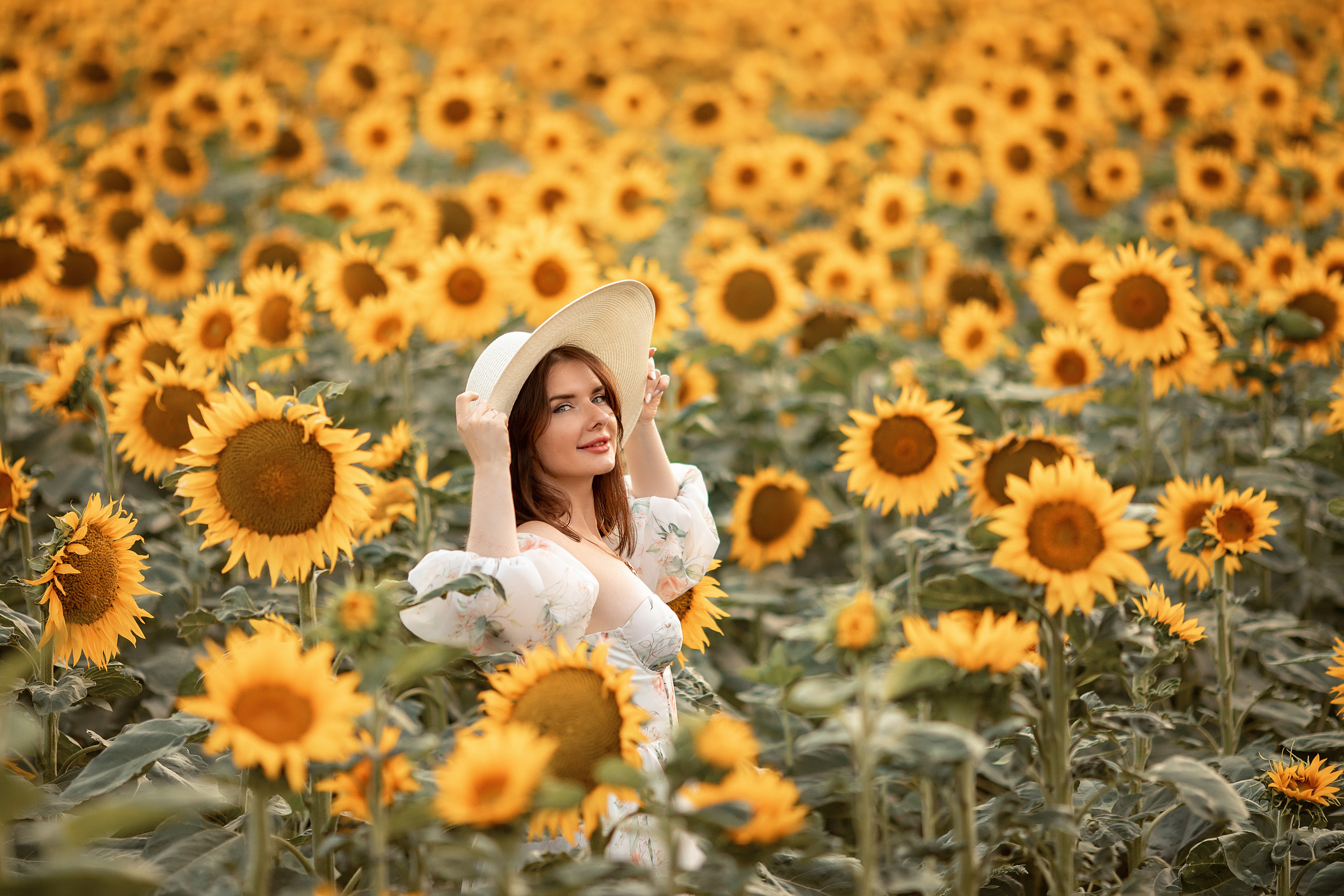 Солнечные подсолнухи. Художественный фотограф Анапа Александра Долбикова