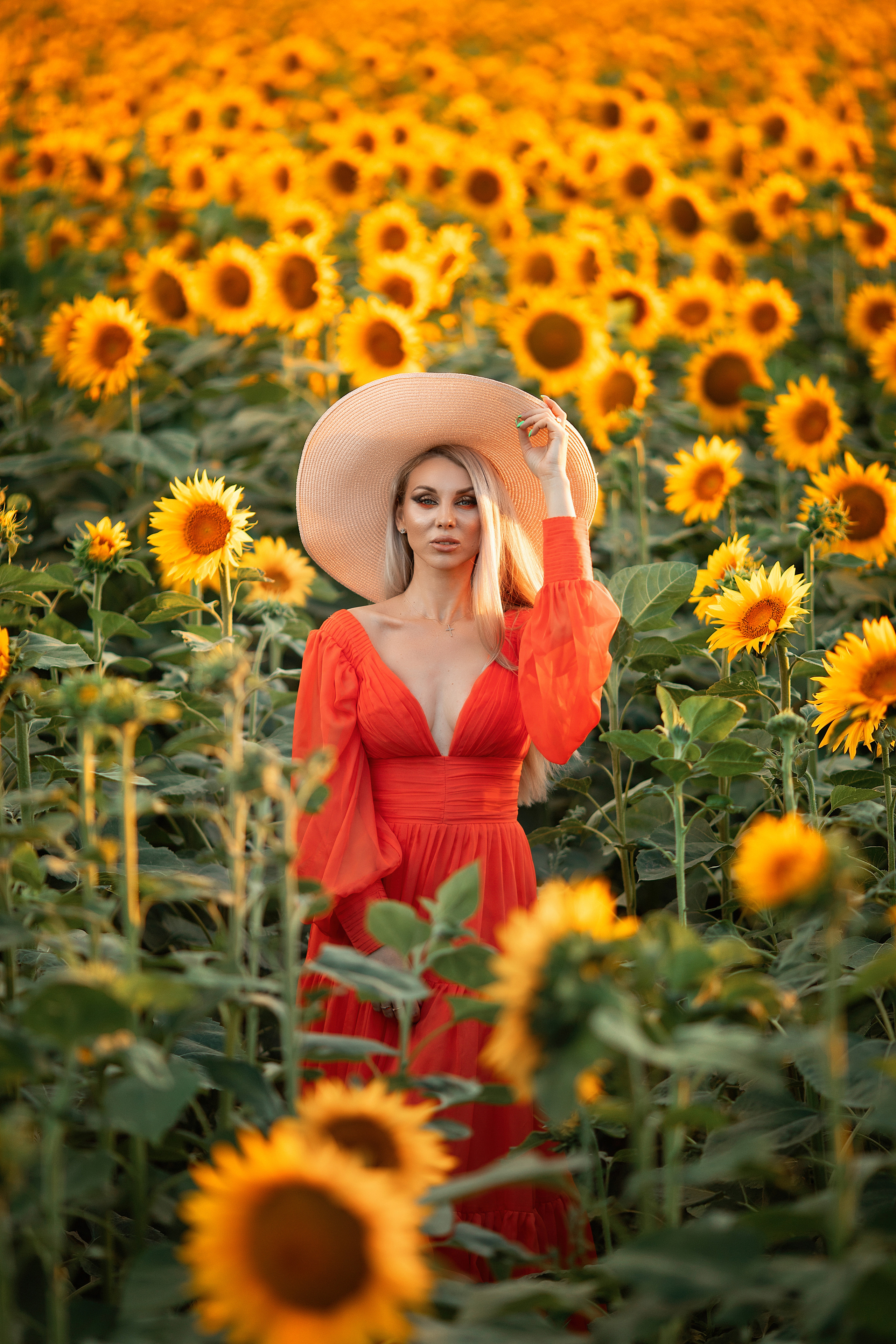 Солнечные подсолнухи. Художественный фотограф Анапа Александра Долбикова