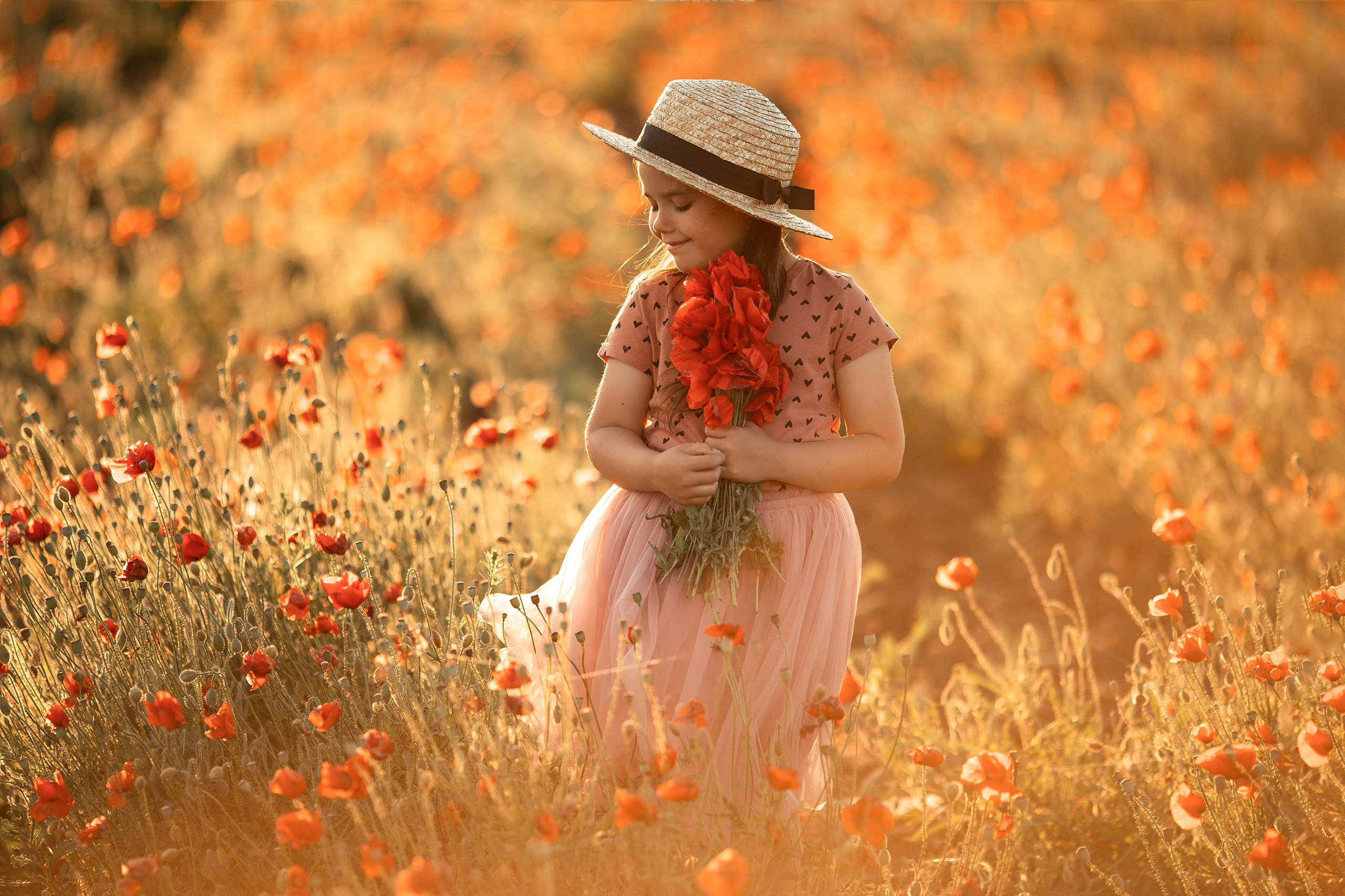 Яркие маки. Художественный фотограф Анапа Александра Долбикова