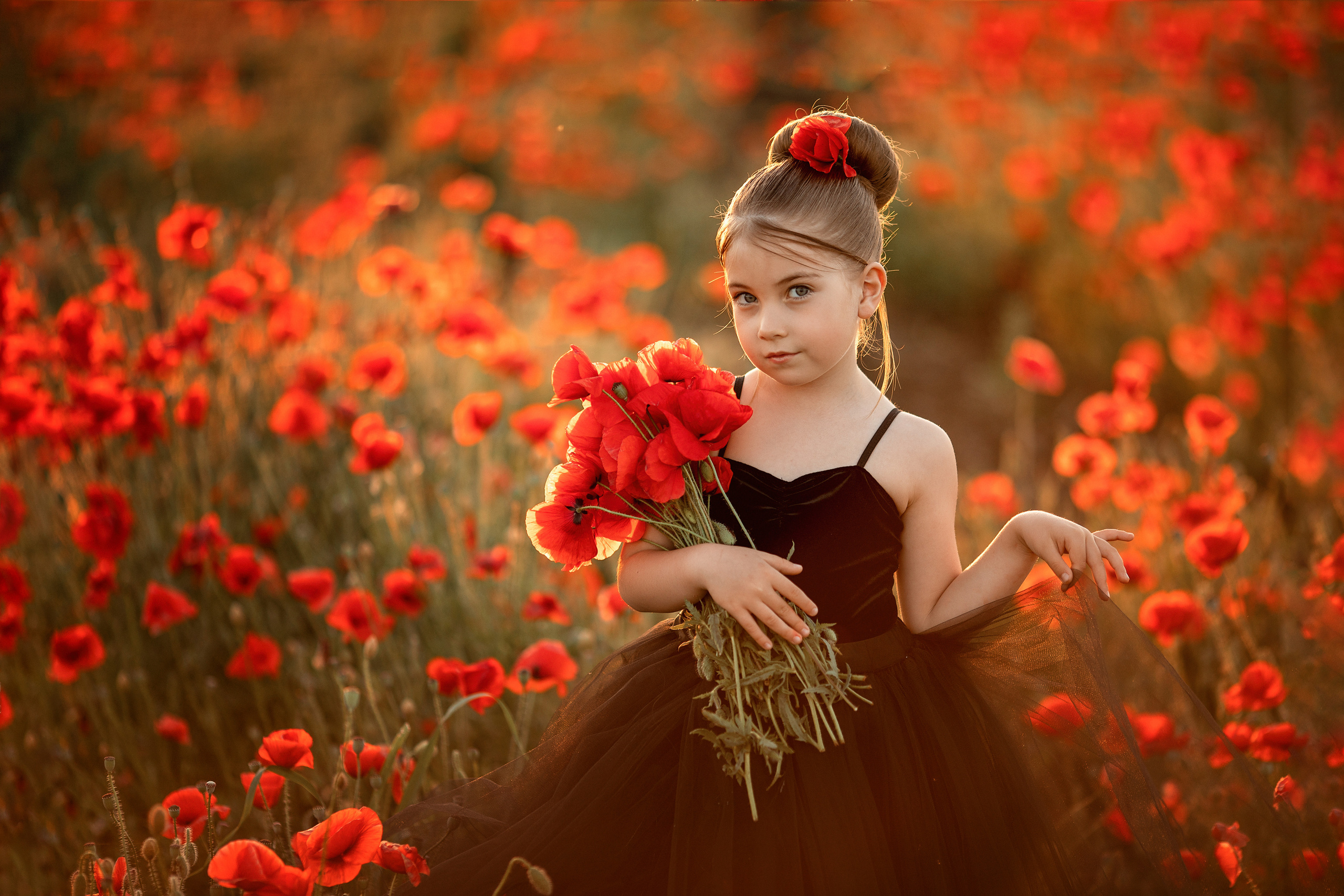 Яркие маки. Художественный фотограф Анапа Александра Долбикова