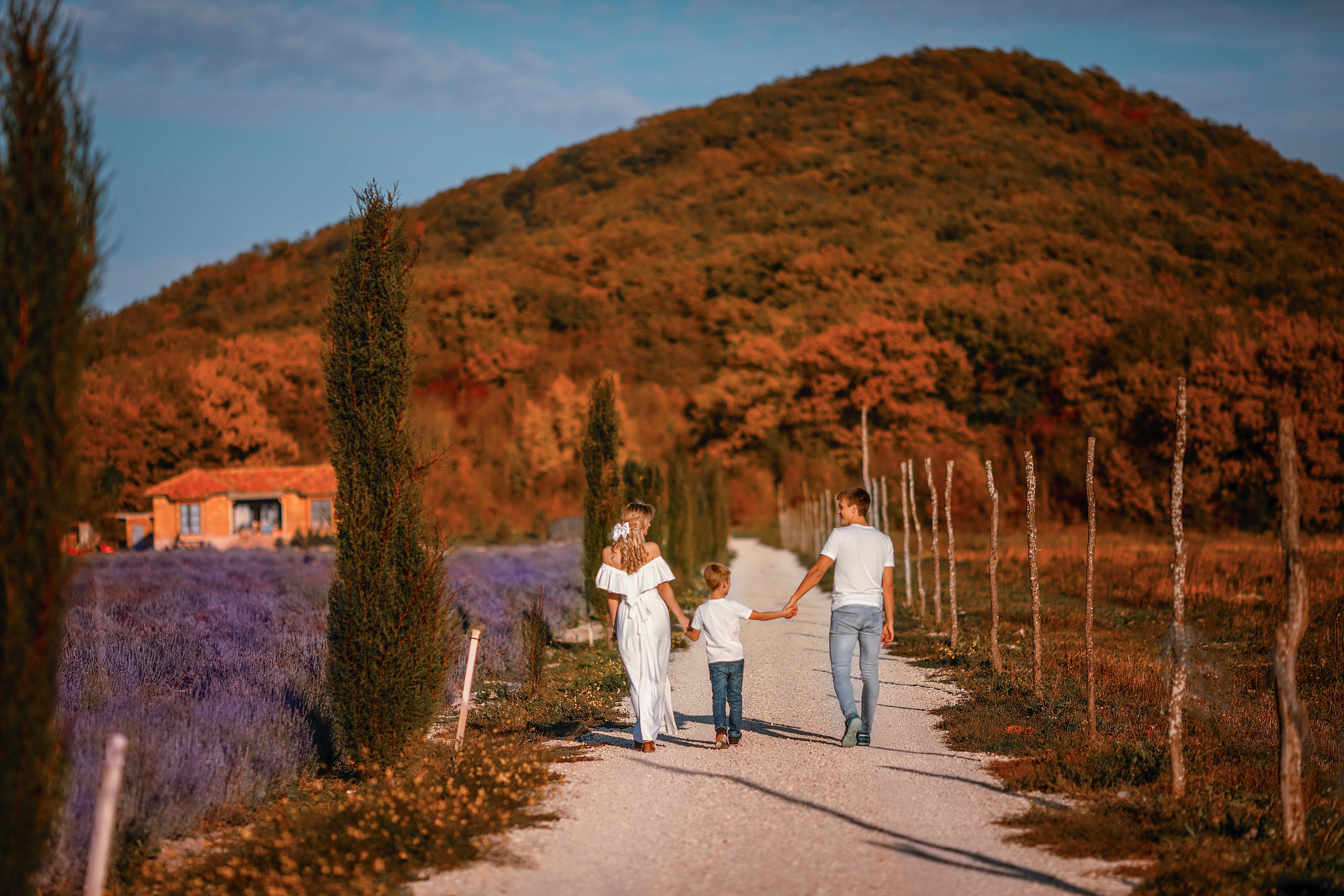 Яркая фотосессия в лаванде. Художественный фотограф Анапа Александра Долбикова
