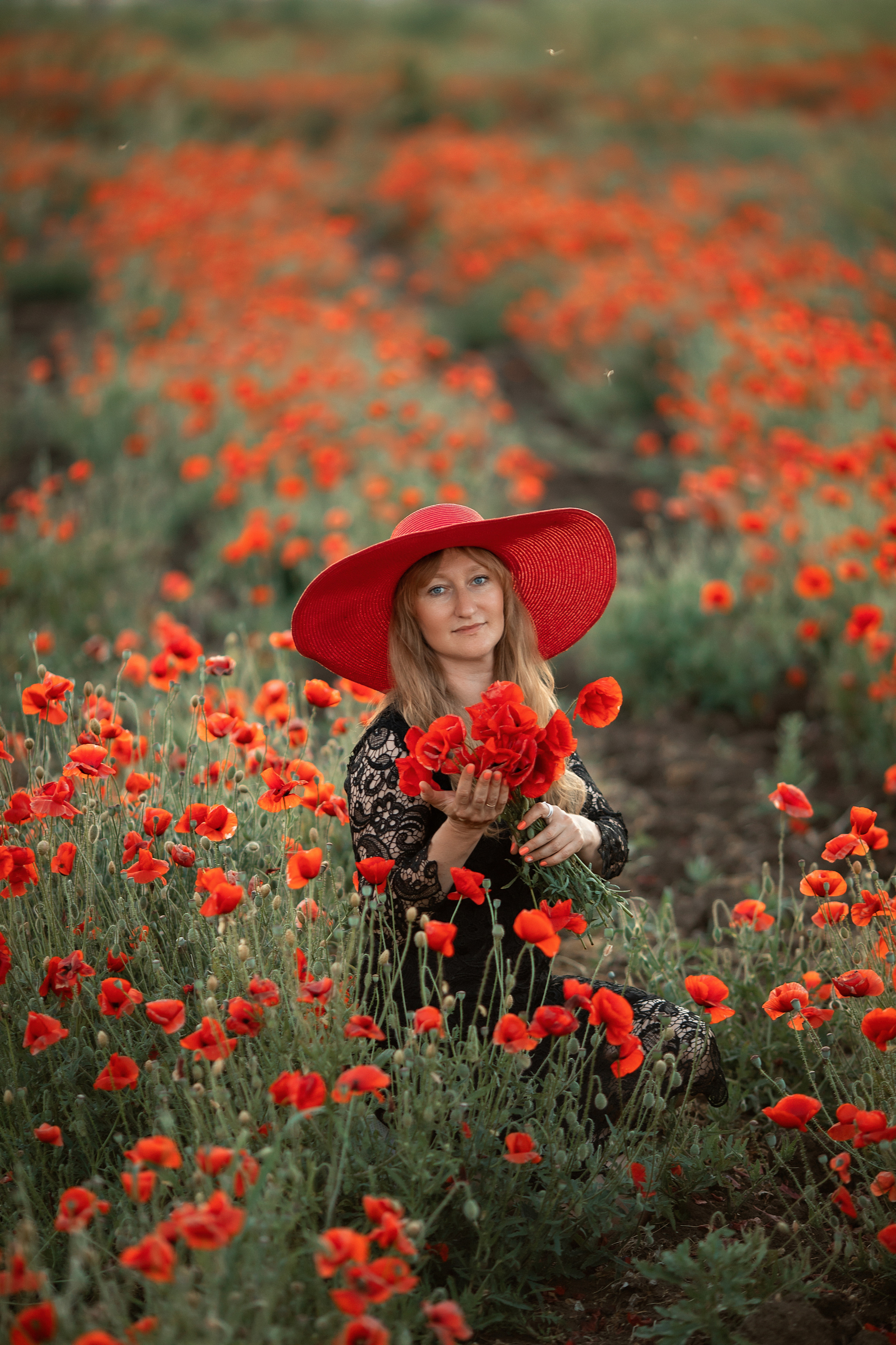 Яркие маки. Художественный фотограф Анапа Александра Долбикова