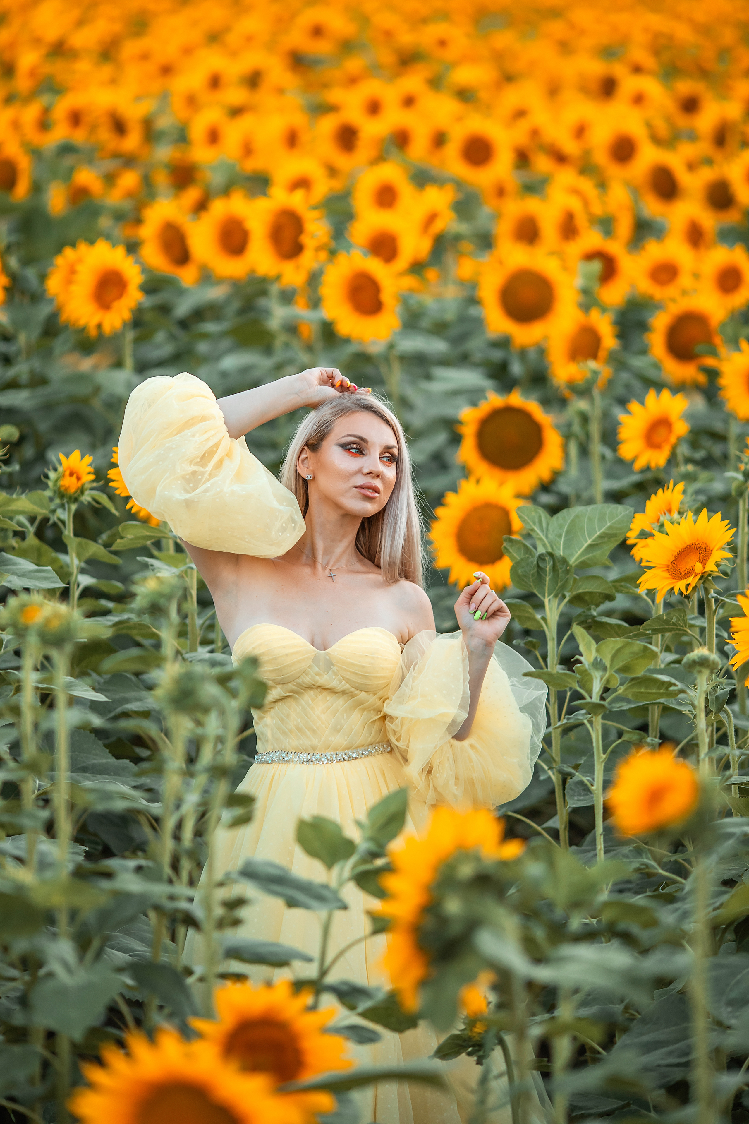 Солнечные подсолнухи. Художественный фотограф Анапа Александра Долбикова