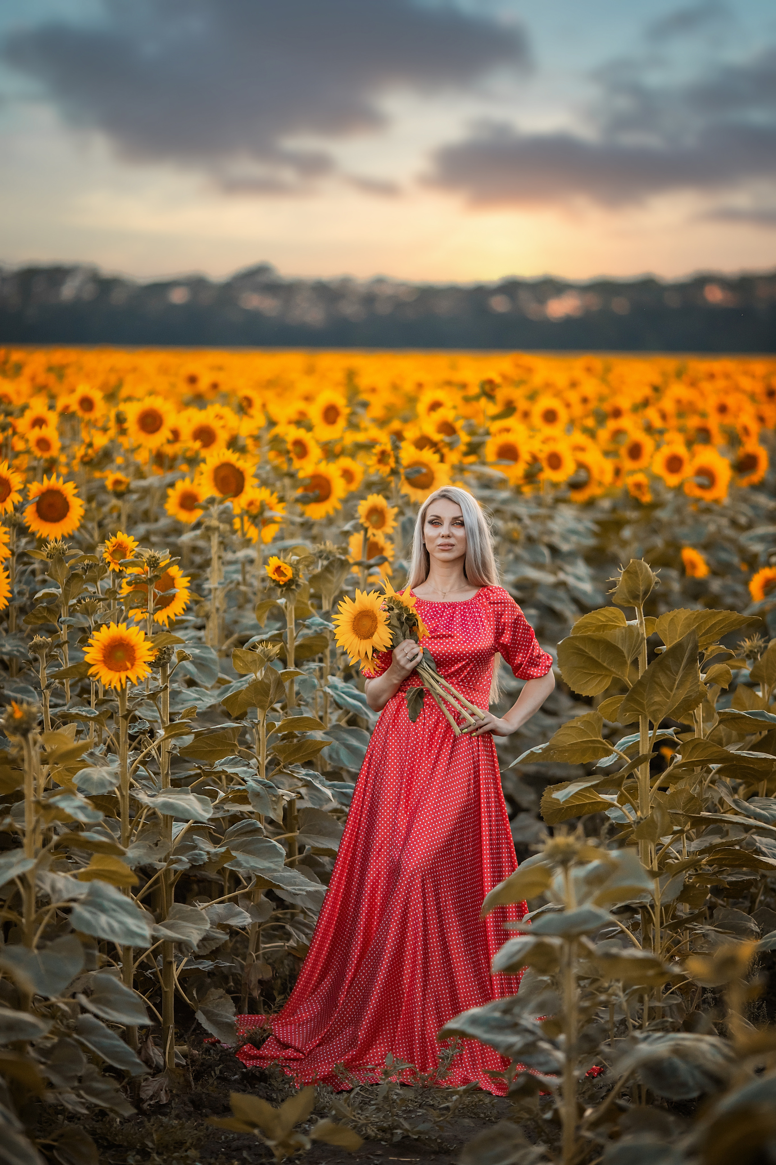 Солнечные подсолнухи. Художественный фотограф Анапа Александра Долбикова
