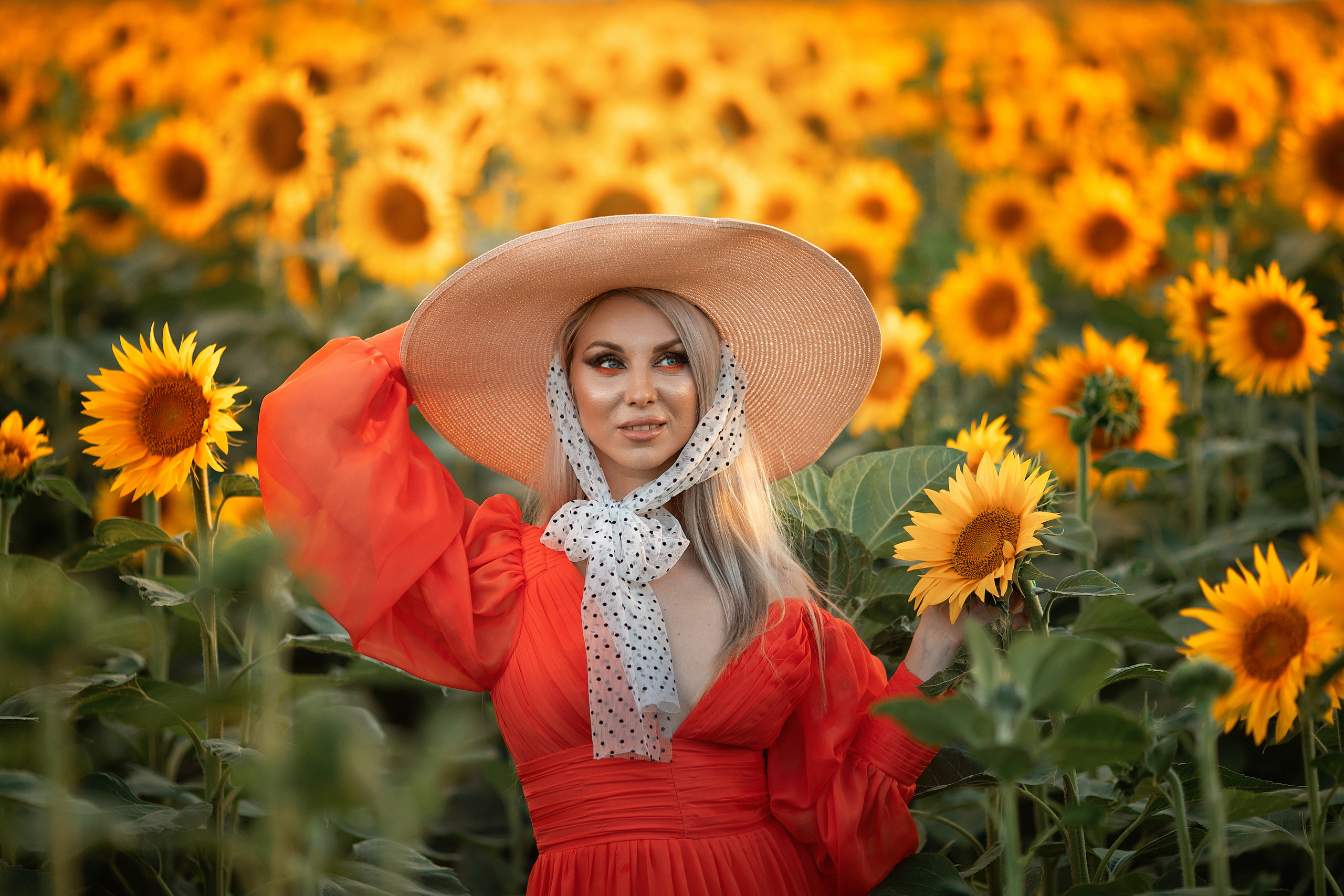 Солнечные подсолнухи. Художественный фотограф Анапа Александра Долбикова
