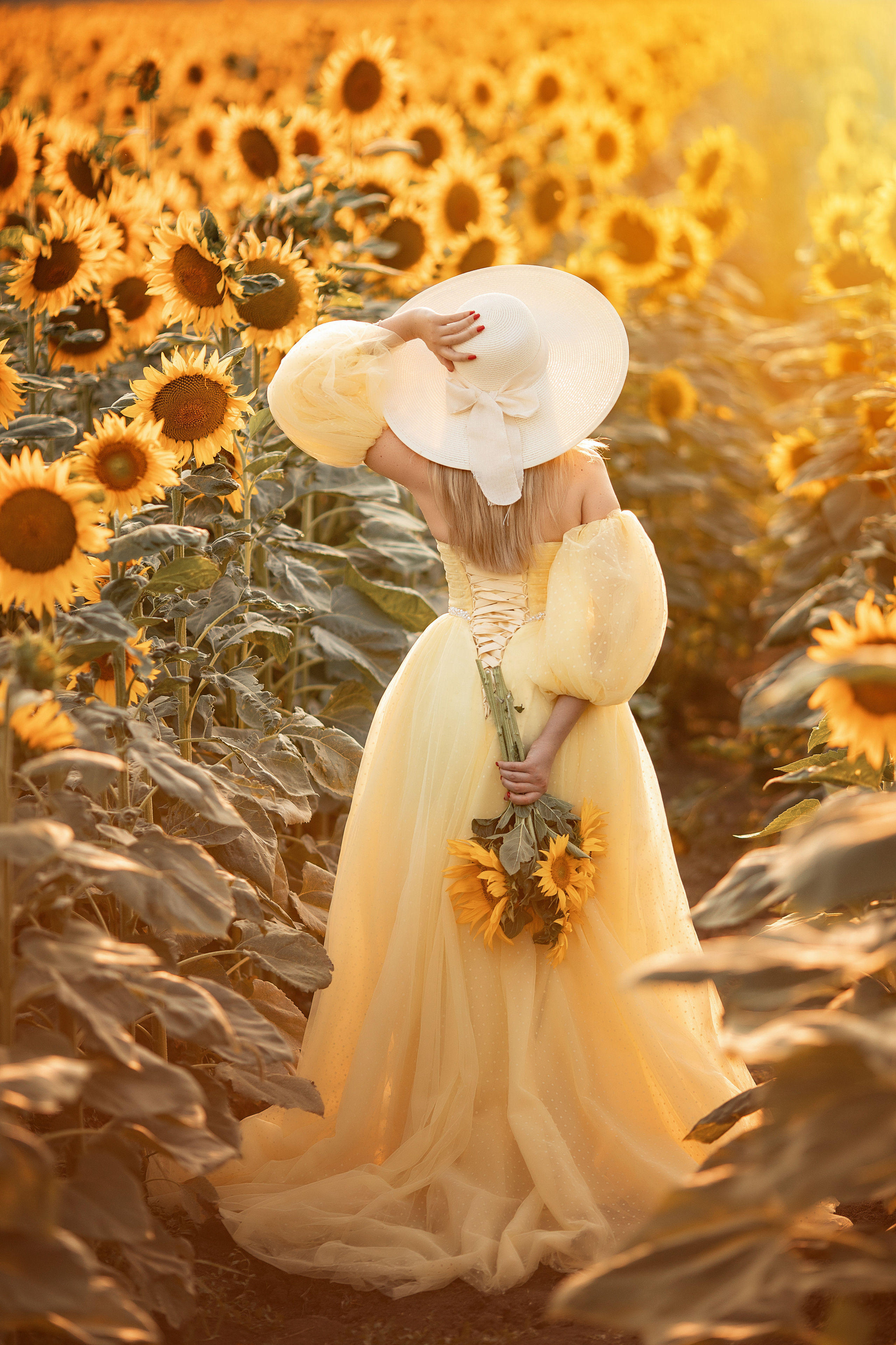 Солнечные подсолнухи. Художественный фотограф Анапа Александра Долбикова