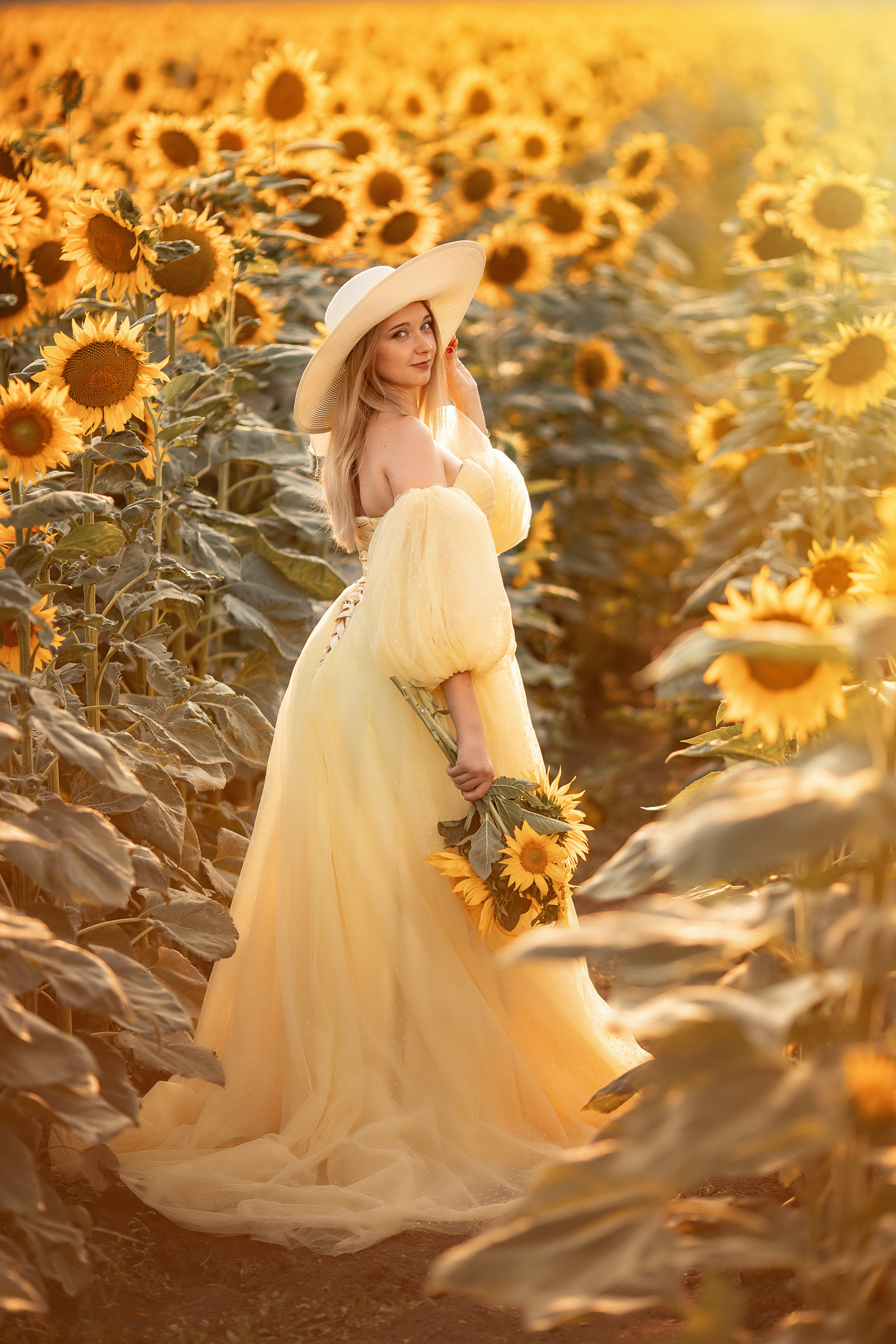 Солнечные подсолнухи. Художественный фотограф Анапа Александра Долбикова