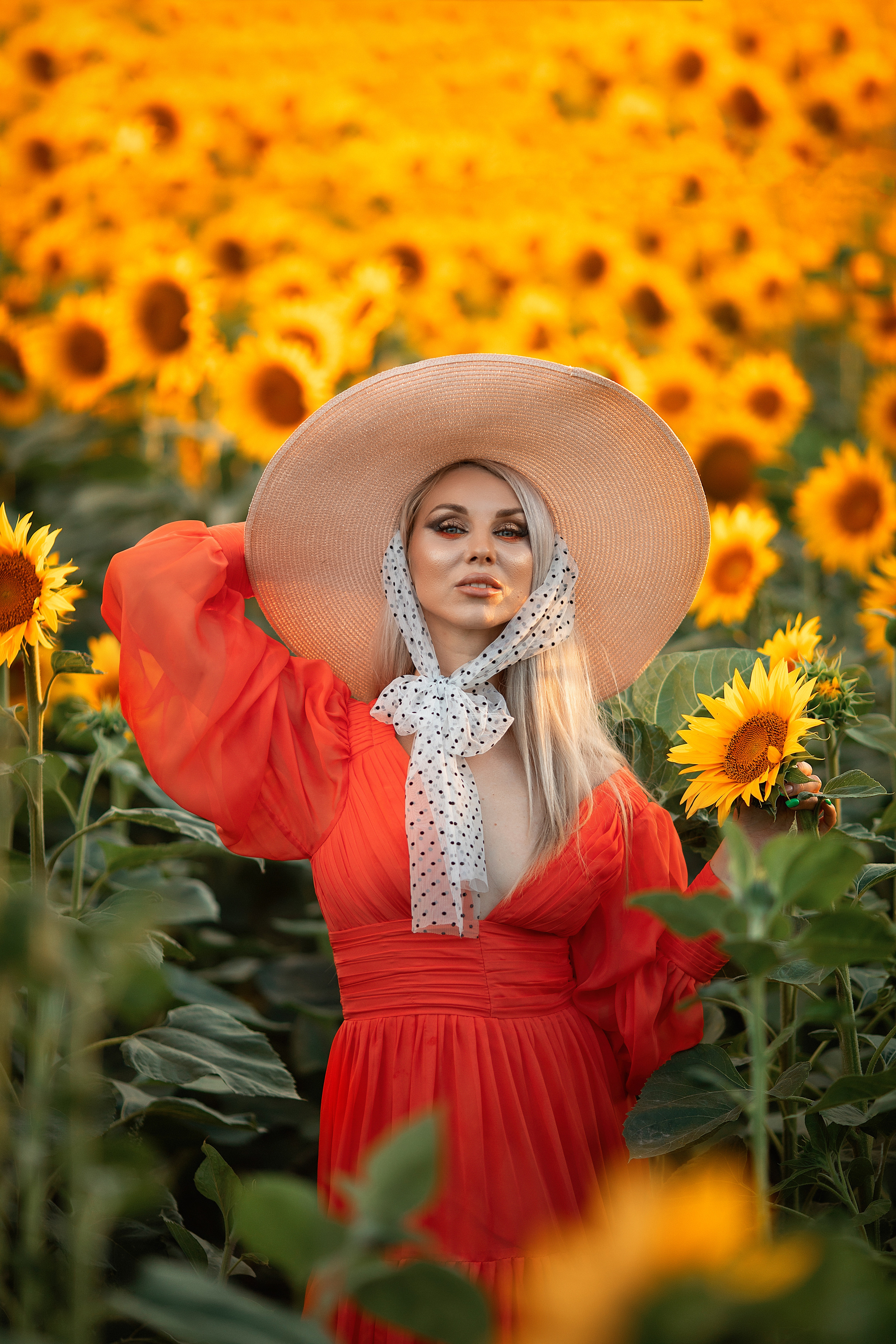Солнечные подсолнухи. Художественный фотограф Анапа Александра Долбикова