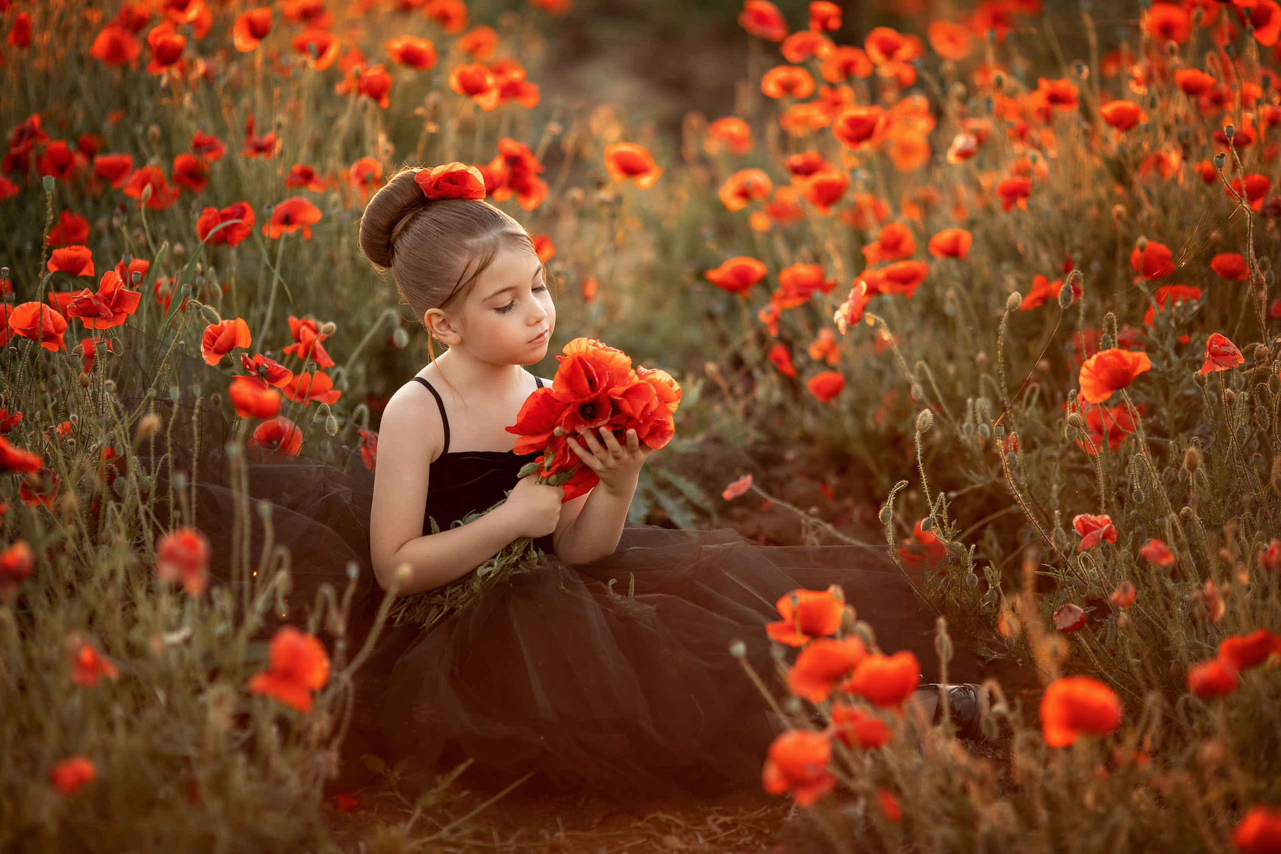 Яркие маки. Художественный фотограф Анапа Александра Долбикова