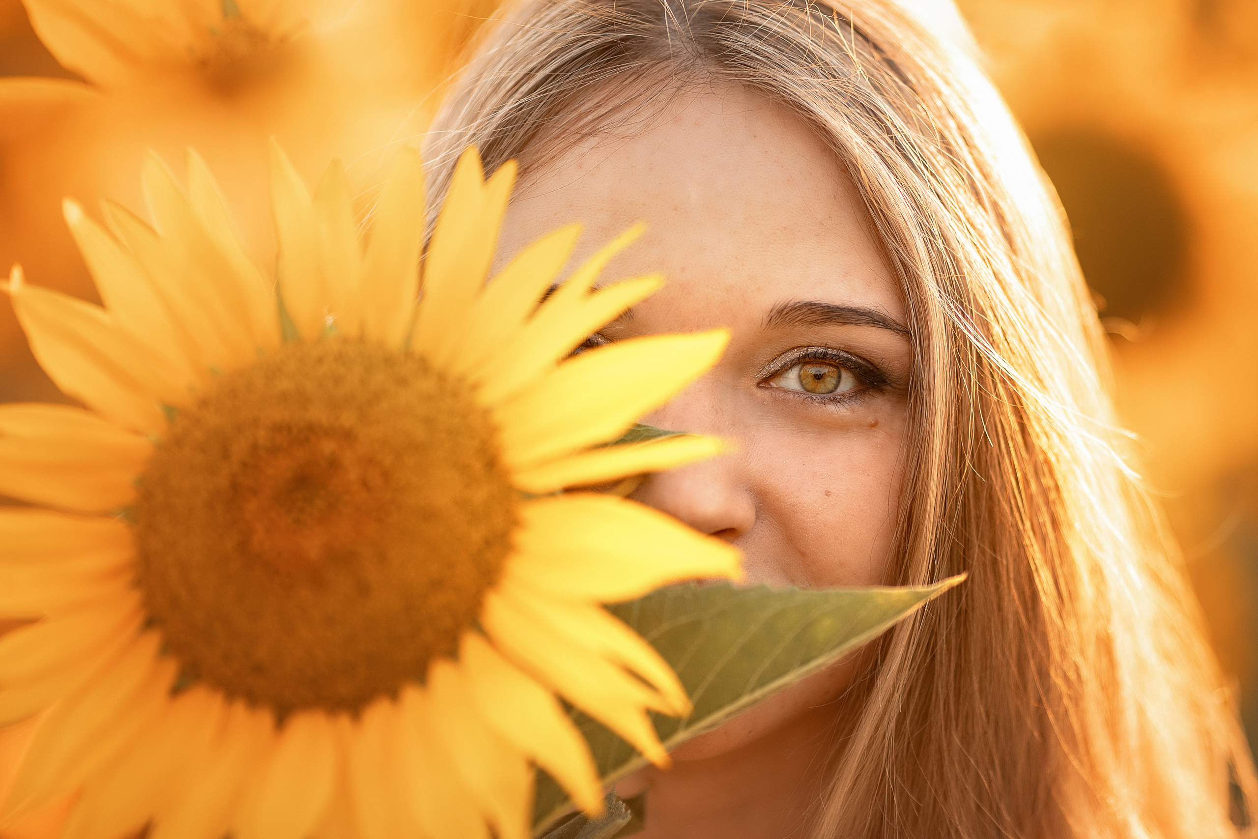 Солнечные подсолнухи. Художественный фотограф Анапа Александра Долбикова