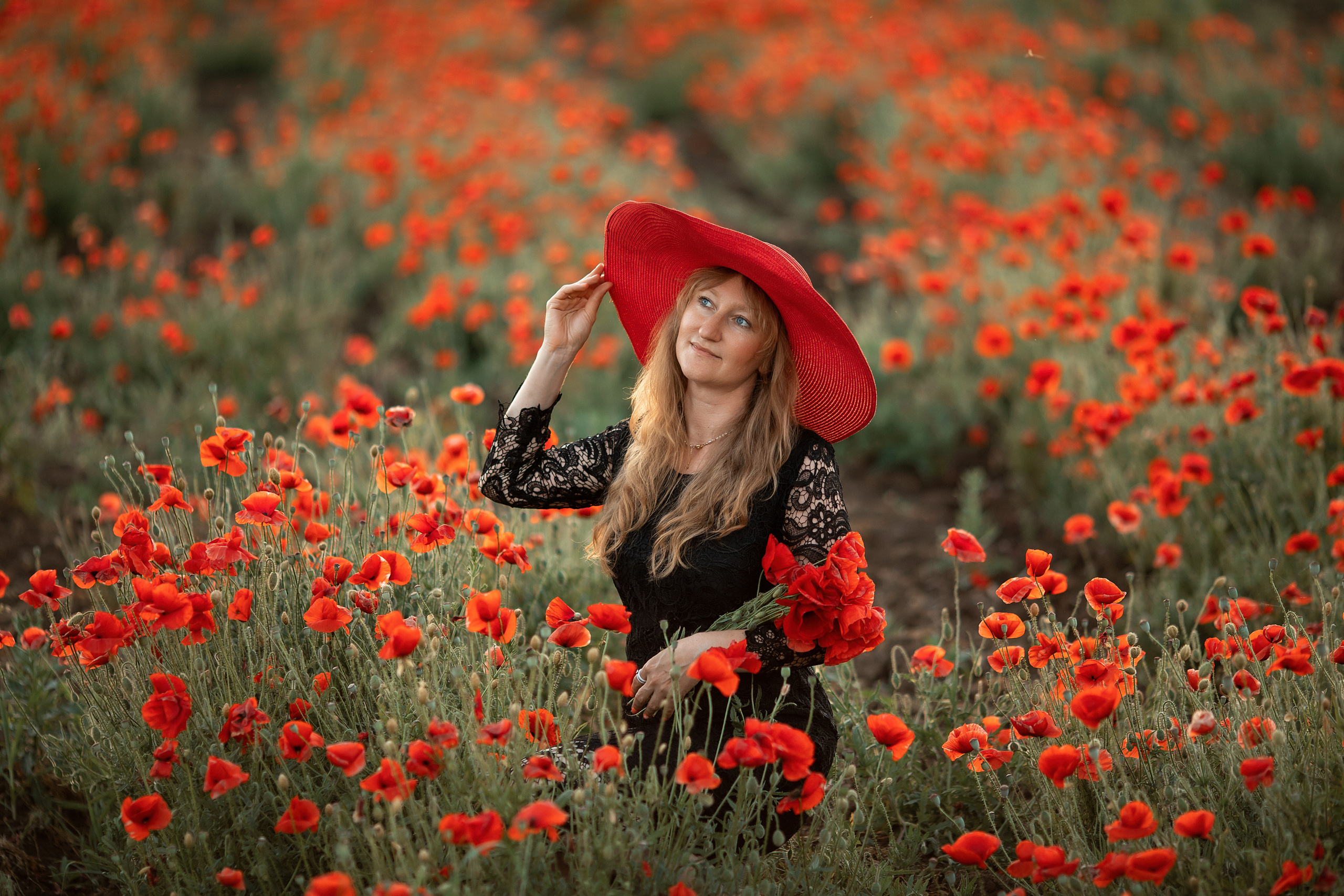 Яркие маки. Художественный фотограф Анапа Александра Долбикова