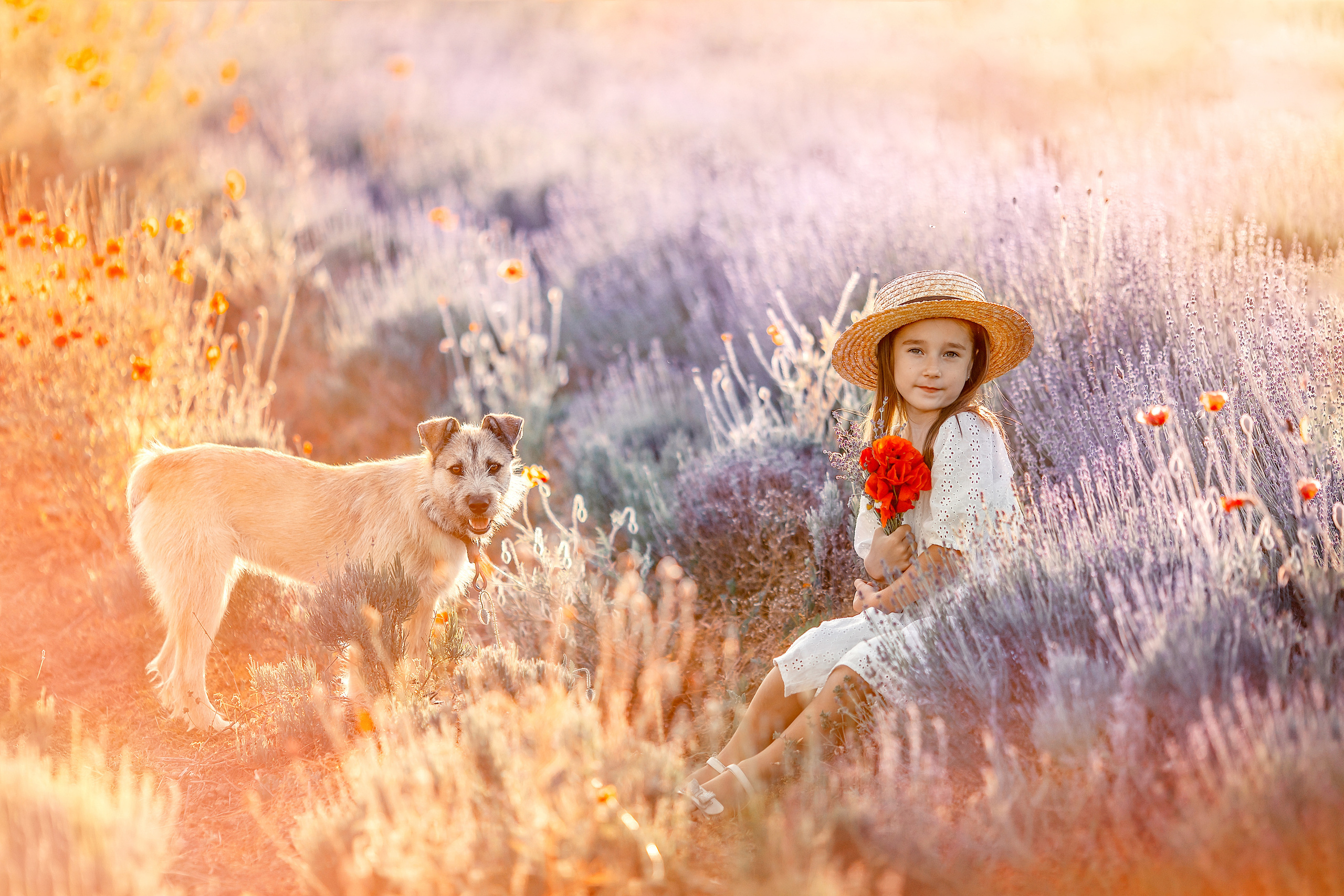 Яркая фотосессия в лаванде. Художественный фотограф Анапа Александра Долбикова