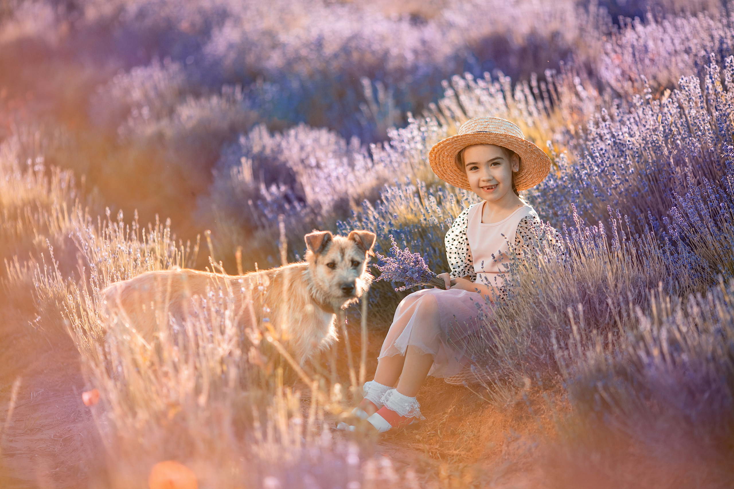 Яркая фотосессия в лаванде. Художественный фотограф Анапа Александра Долбикова