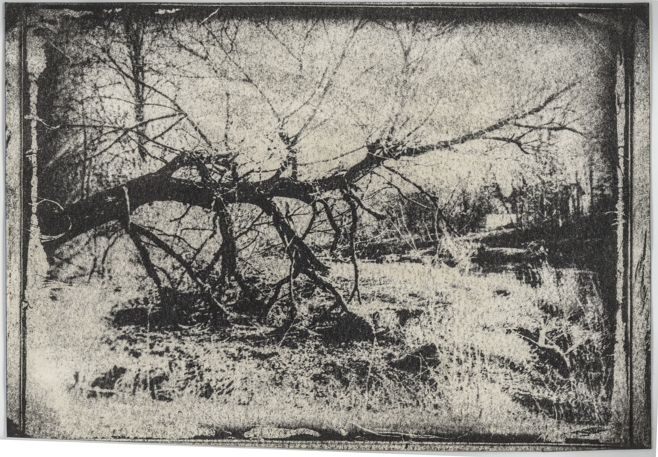 Alternative processes | gumoil | cyanotype | van dyke. Darkroom aesthetics