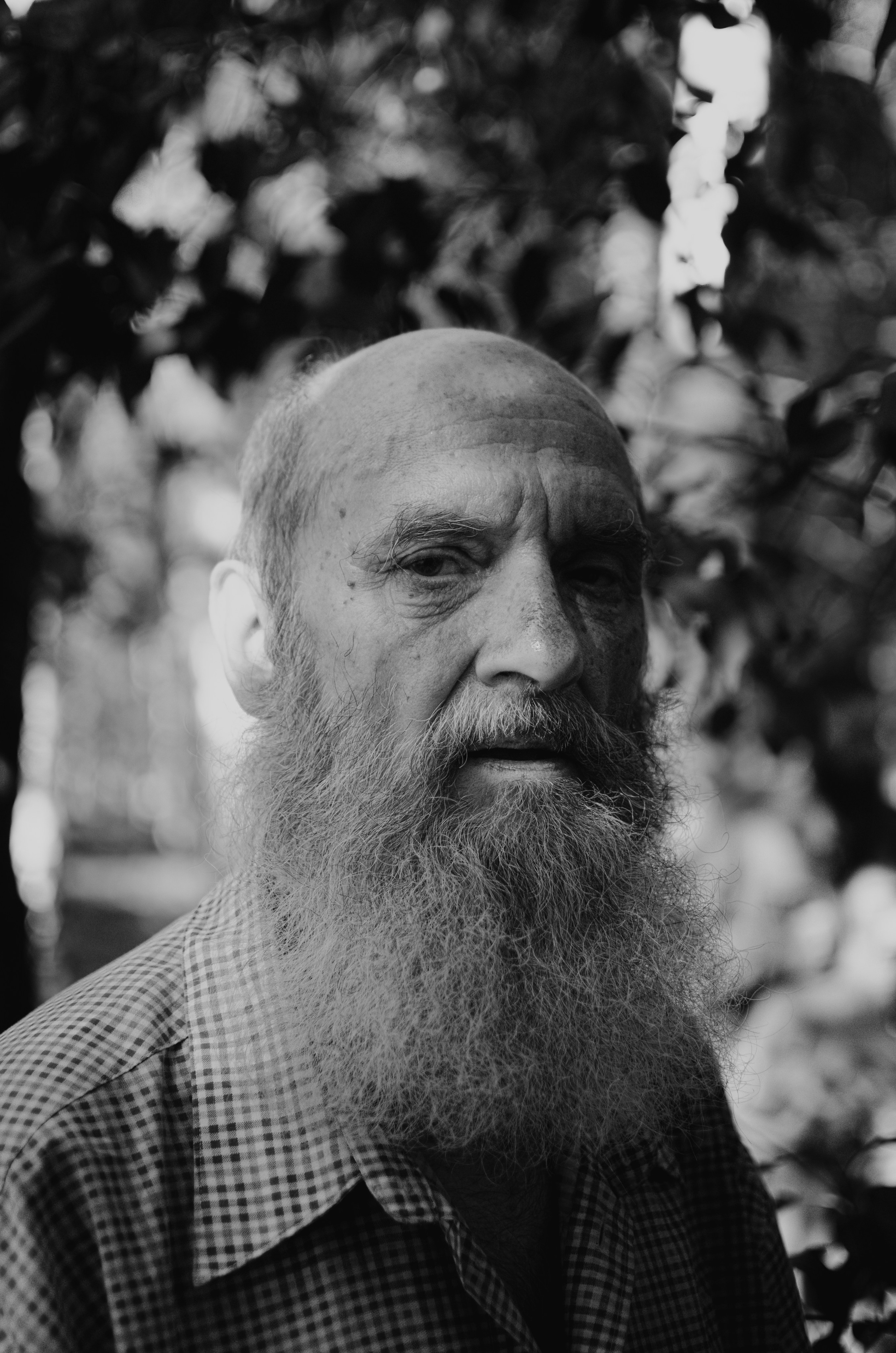 Портрет. Fedor Kalinin