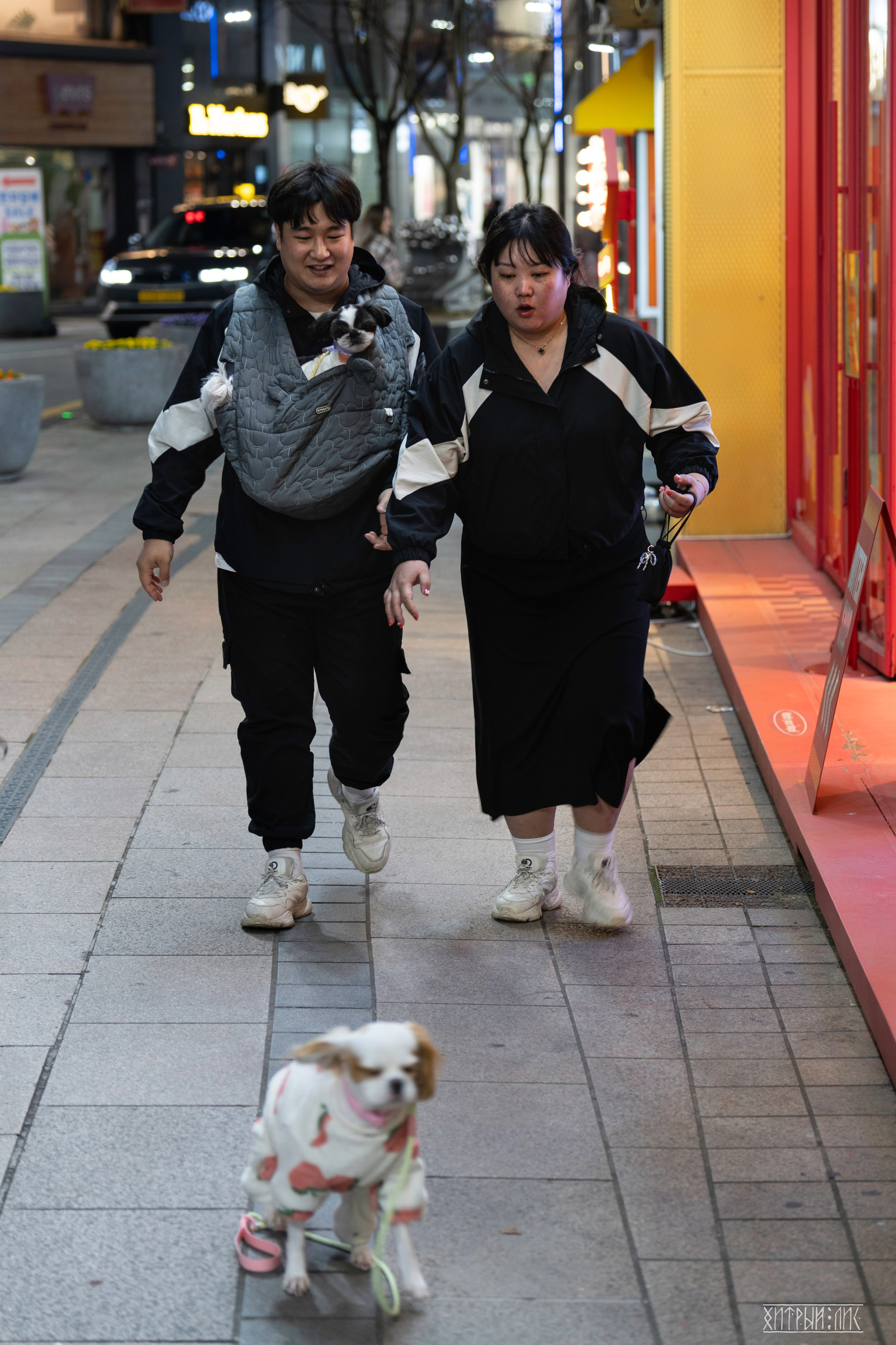 Южная Корея. Фотограф-путешественник Самойлов Максим «Sly Fox»