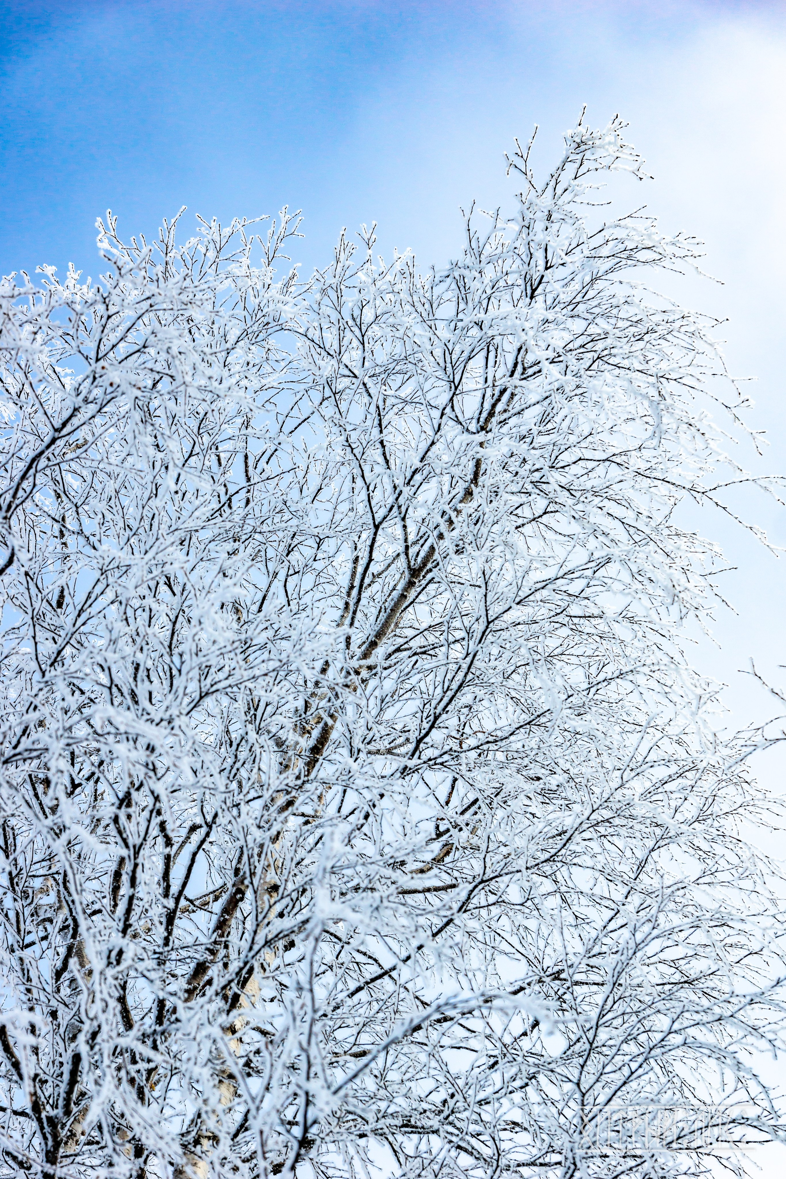 Мурманская обл. Фотограф-путешественник Самойлов Максим «Sly Fox»