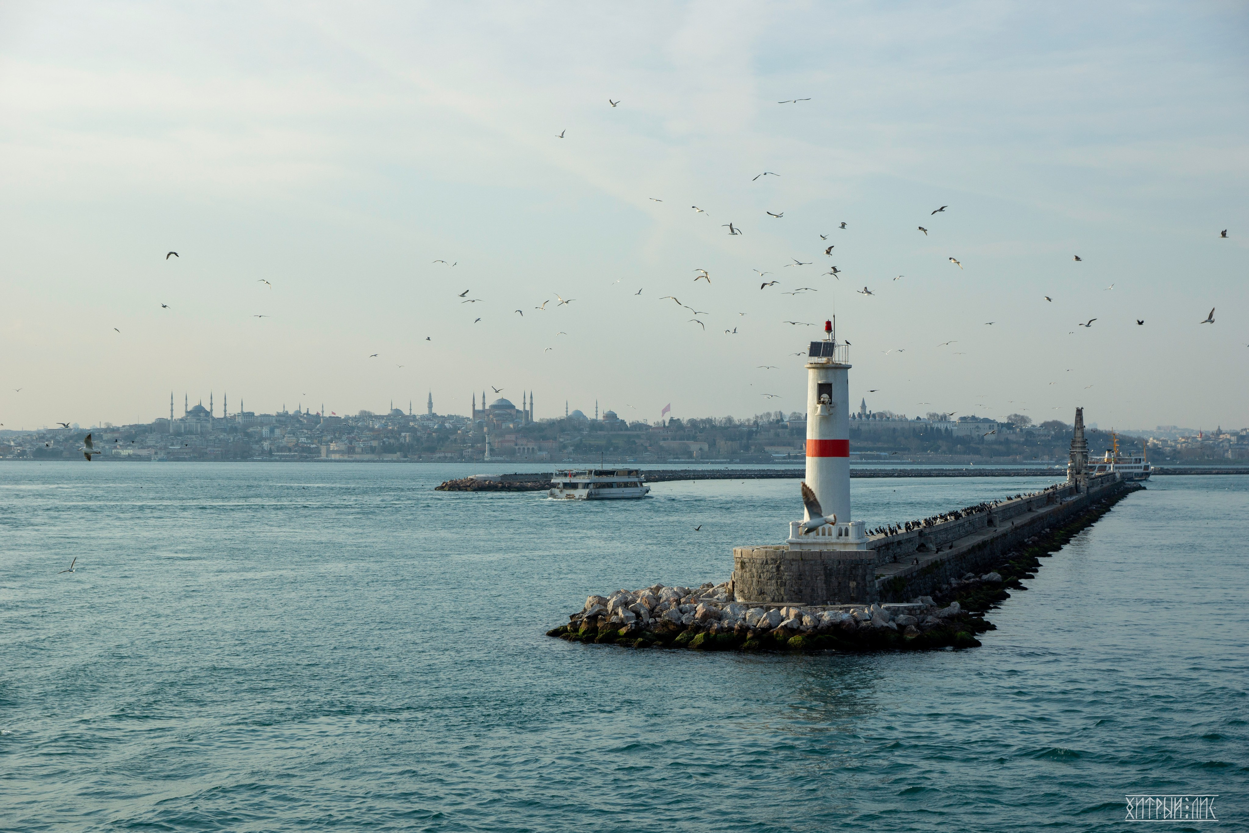 Стамбул. Фотограф-путешественник Самойлов Максим «Sly Fox»