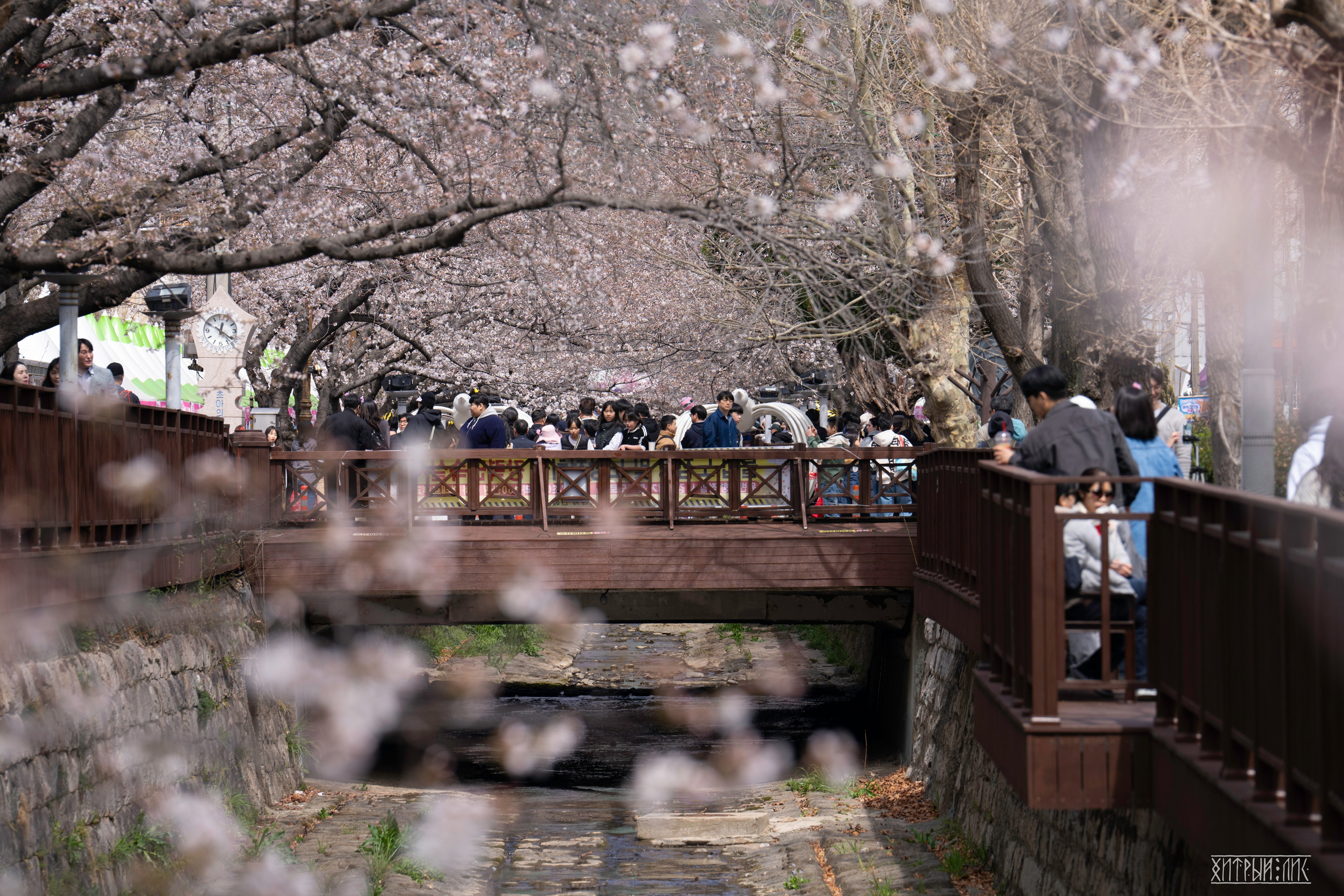 Южная Корея. Фотограф-путешественник Самойлов Максим «Sly Fox»