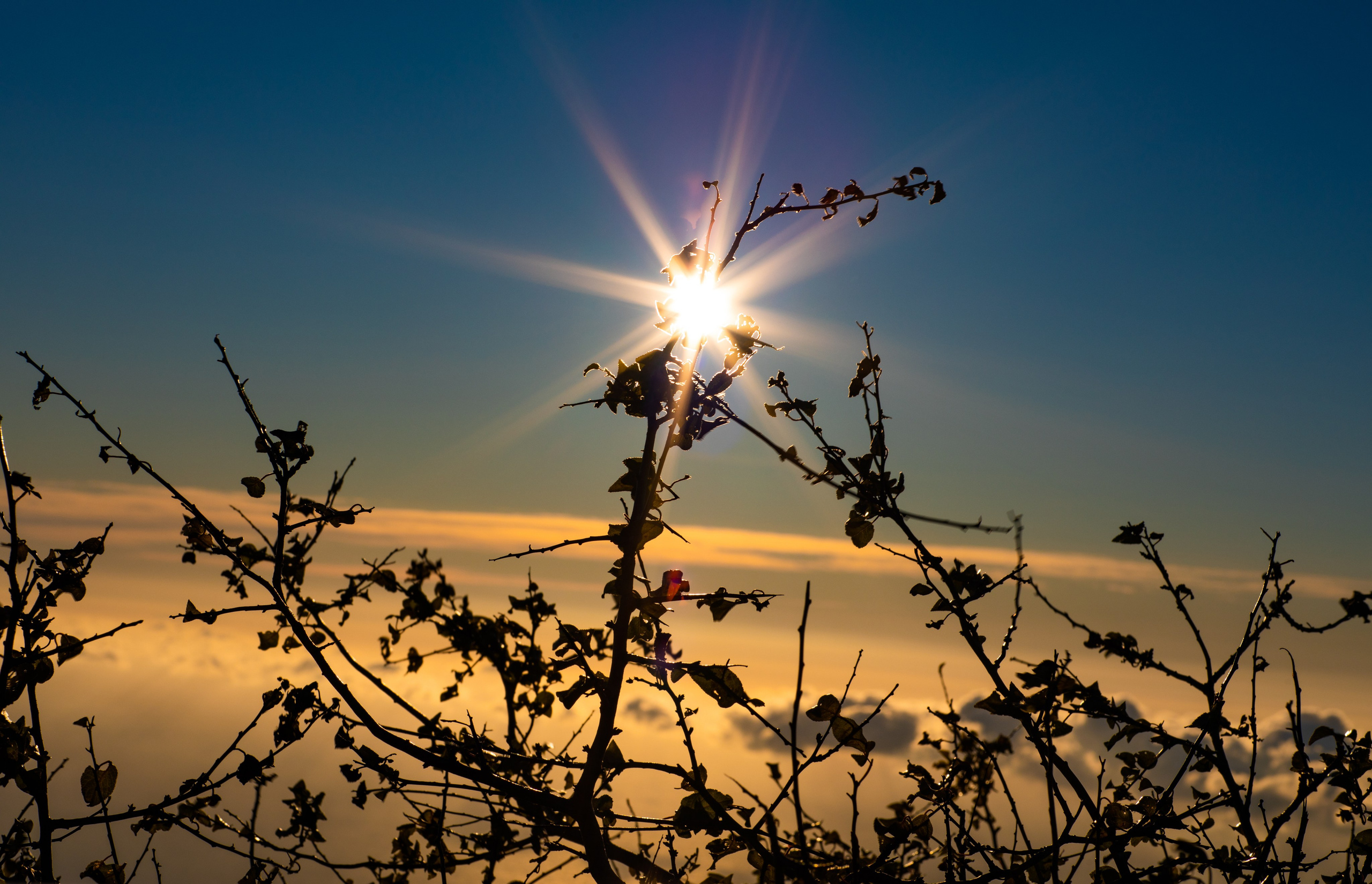АЙ-ПЕТРИ. Фотограф Севастополь/Крым Светлана Евтушенко